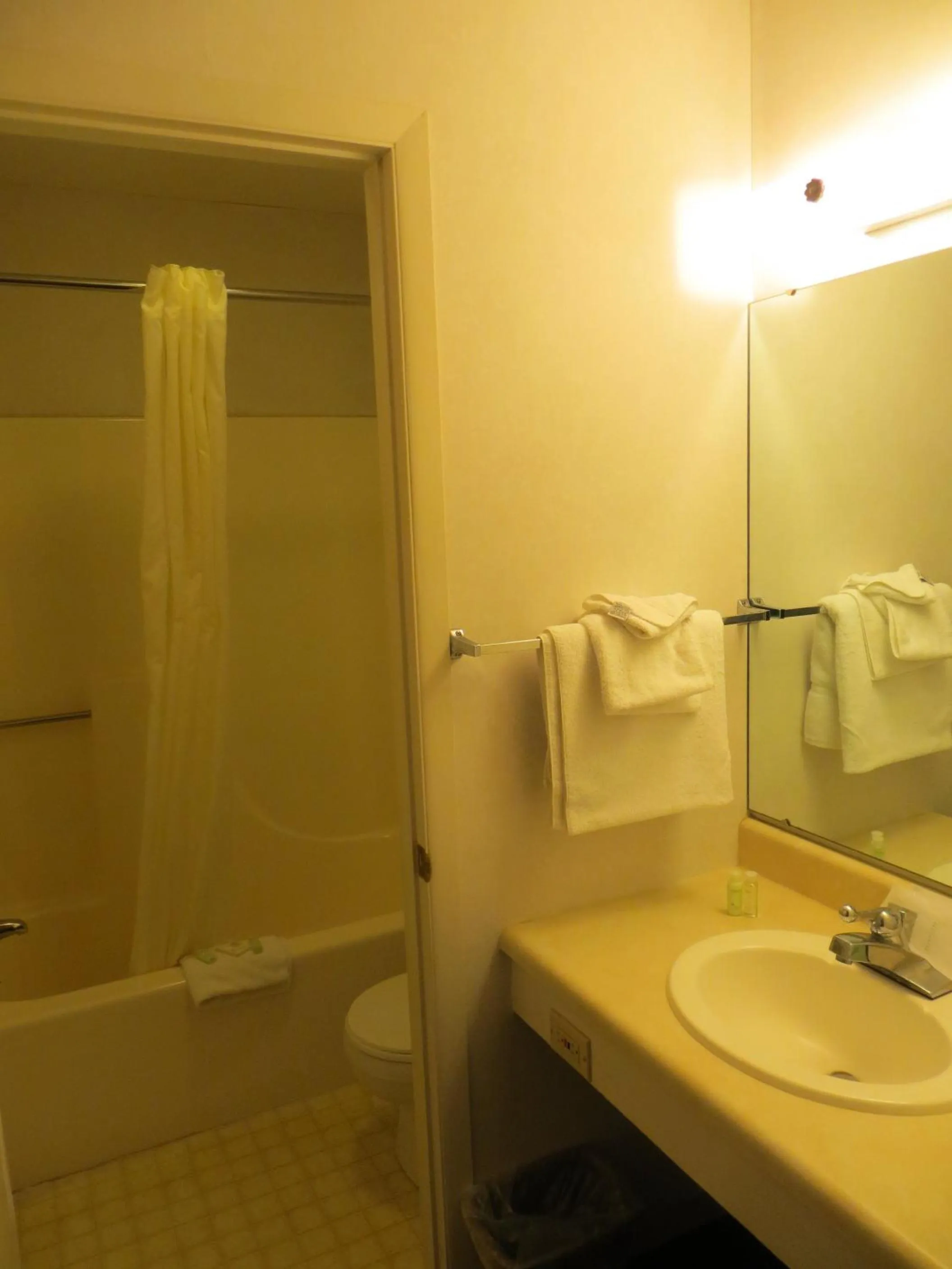 Bathroom in Waterfront Inn Mackinaw City