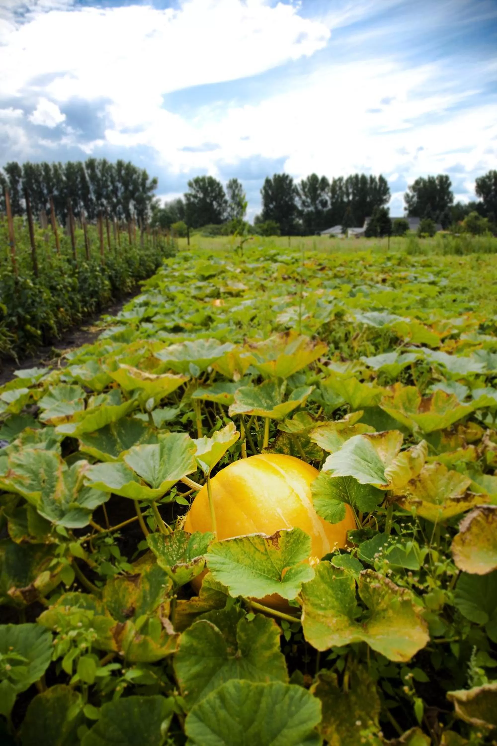 Day in Flair Hotel Reuner