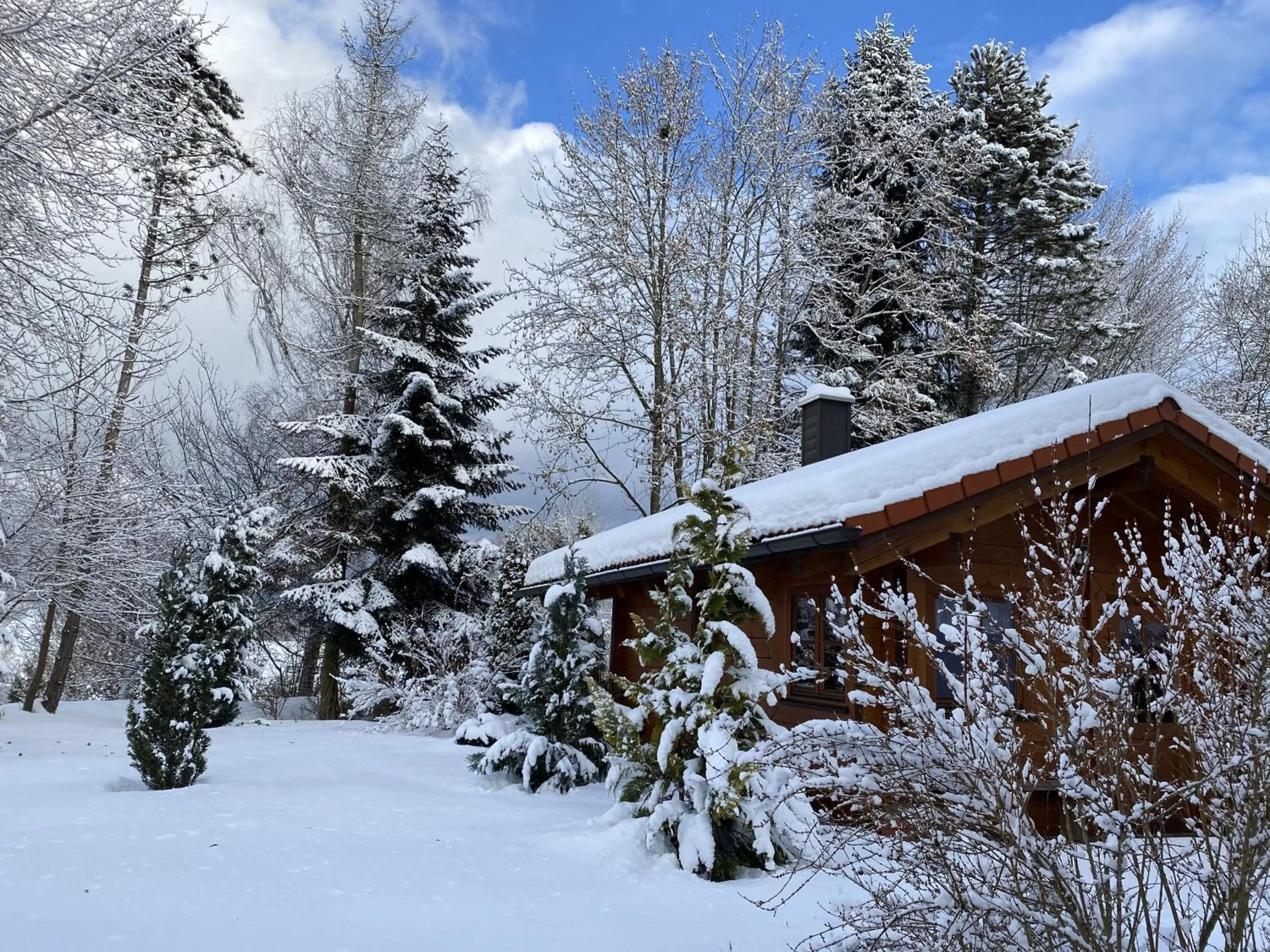 Property building, Winter in Hotel Sonnenhof - Superior