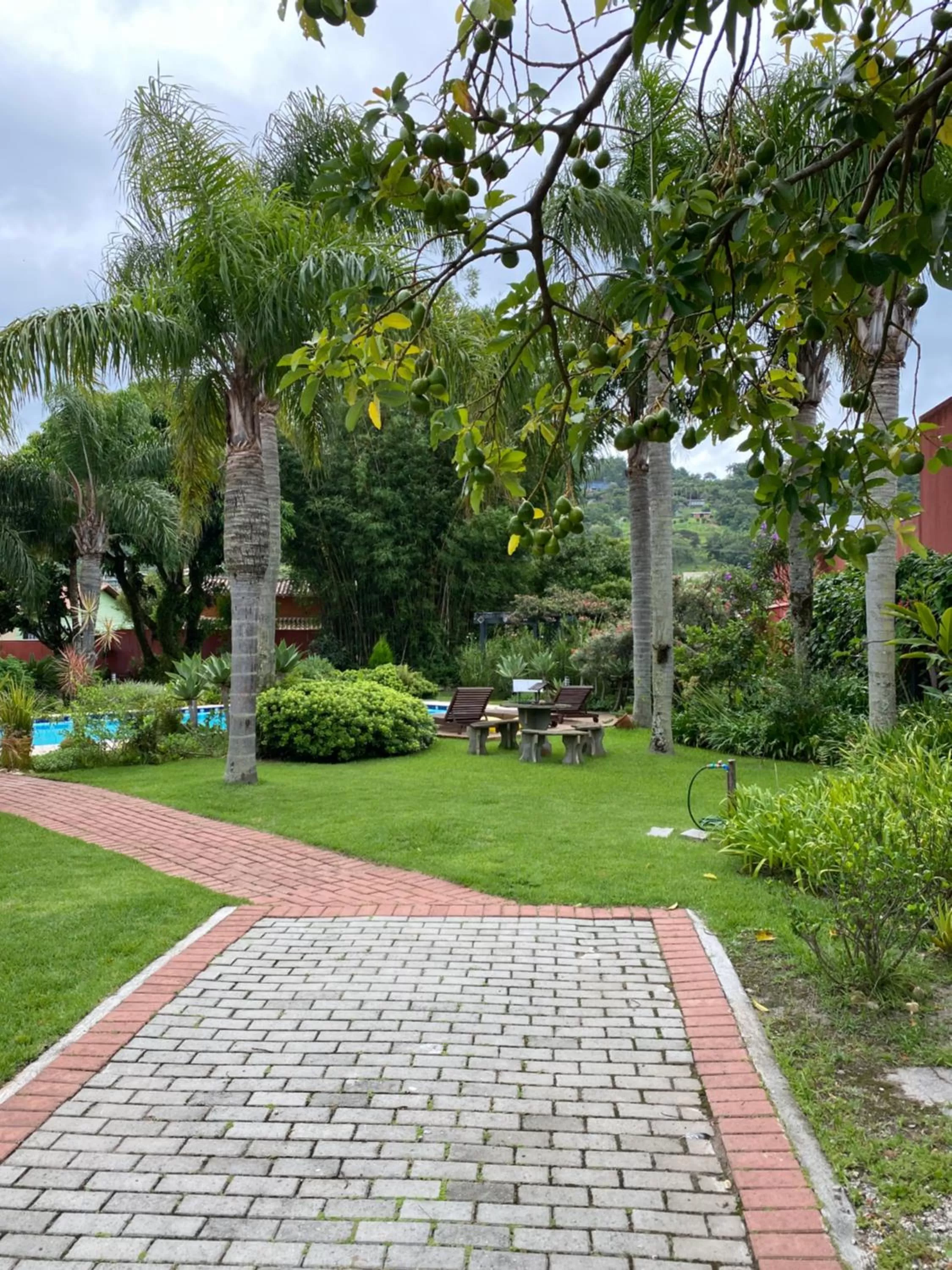 Garden in Janela de Marcia Bed and Breakfast