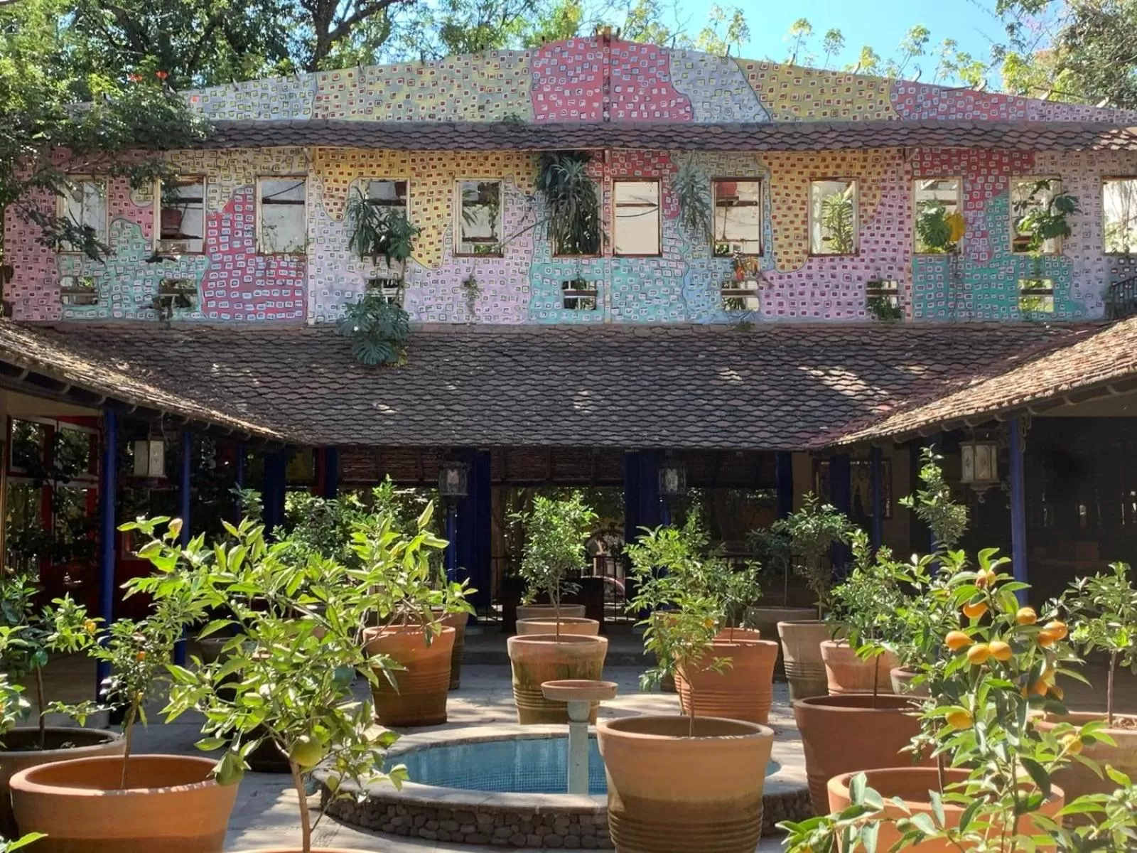 Restaurant/places to eat in Hotel La Casa de los Árboles Immersive Experience