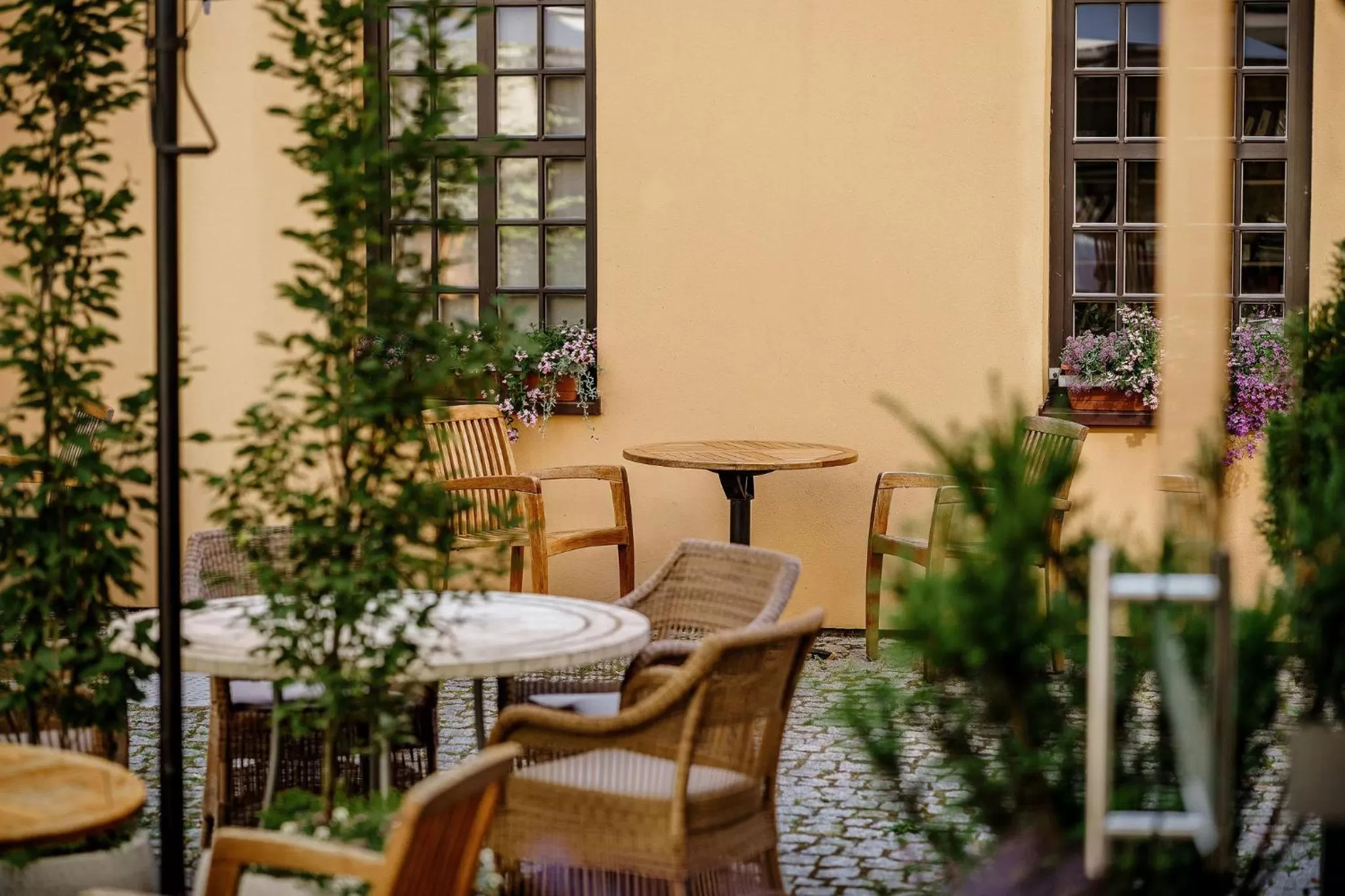 Balcony/Terrace in Euterpe Hotel