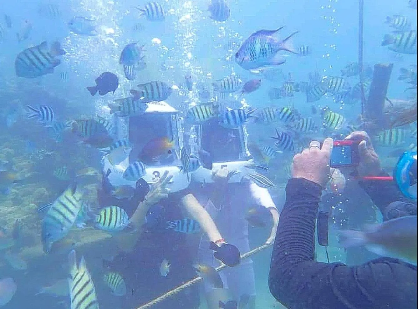 Activities in Akinabalu Youth Hostel