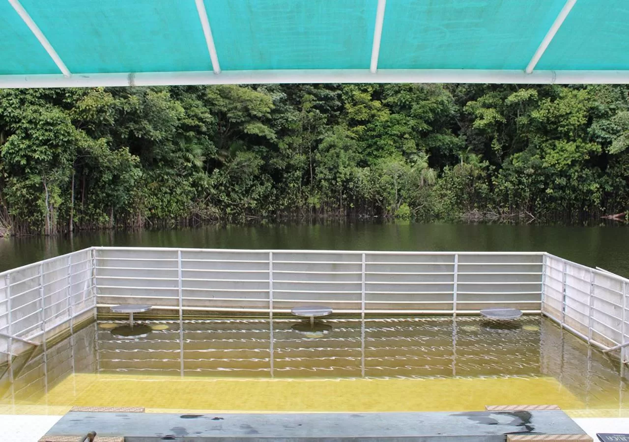 Swimming pool in Uiara Amazon Resort