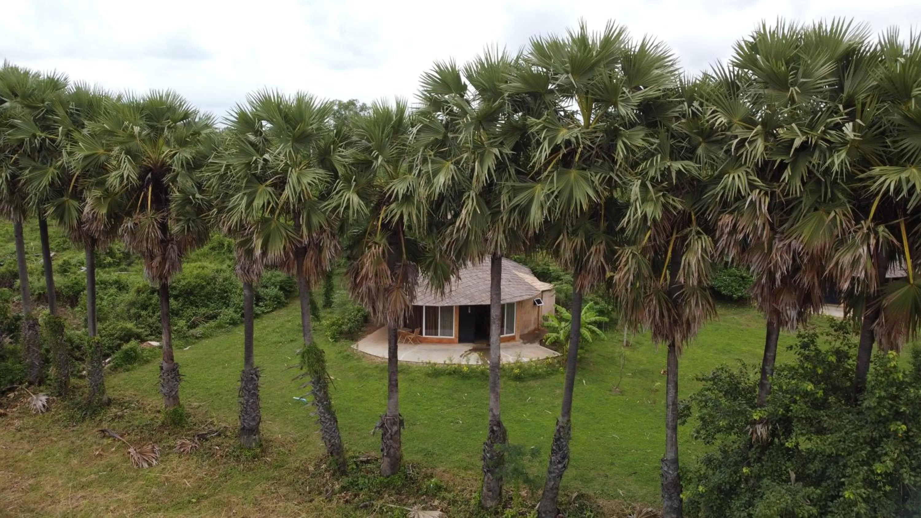 Hanchey Bamboo Resort