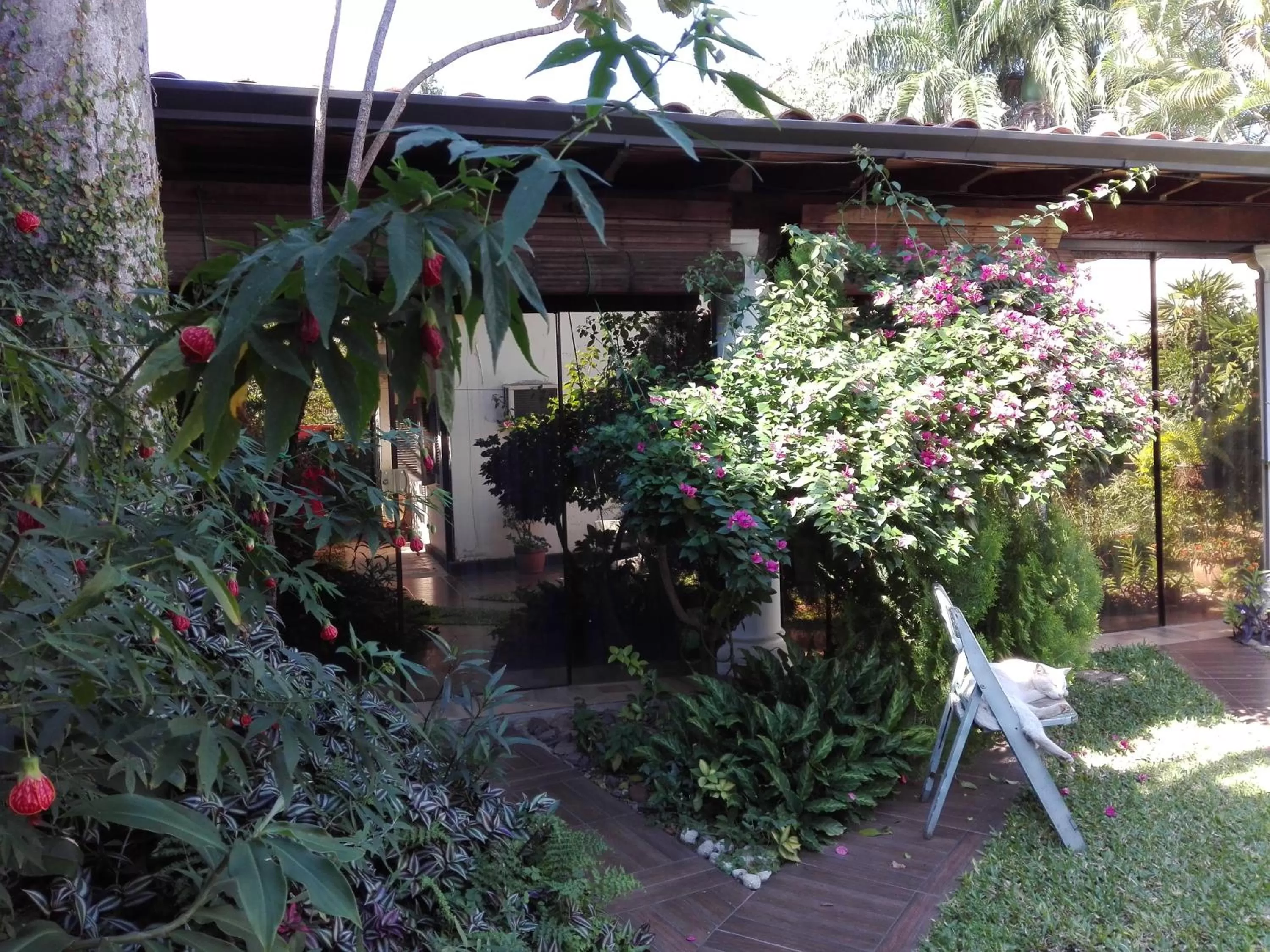 Patio in Granados B&B