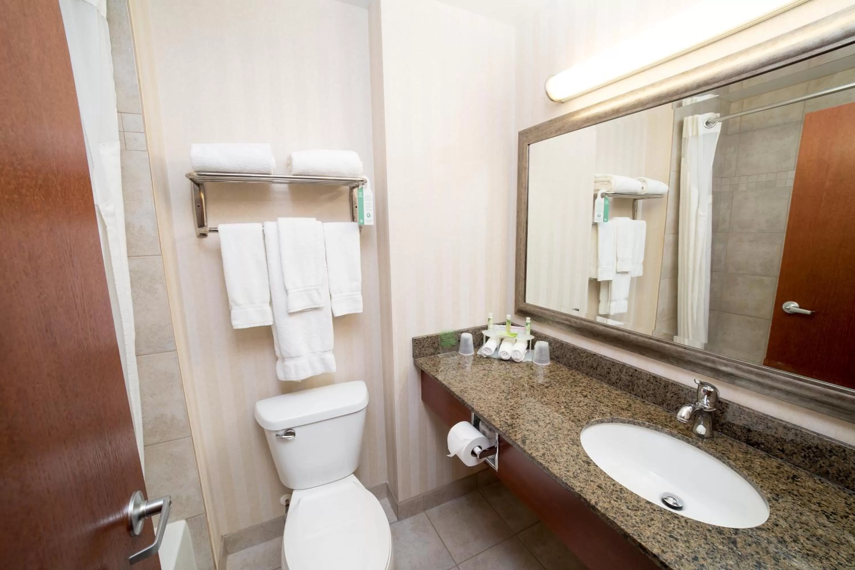 Bathroom in Holiday Inn Express & Suites Drayton Valley by IHG