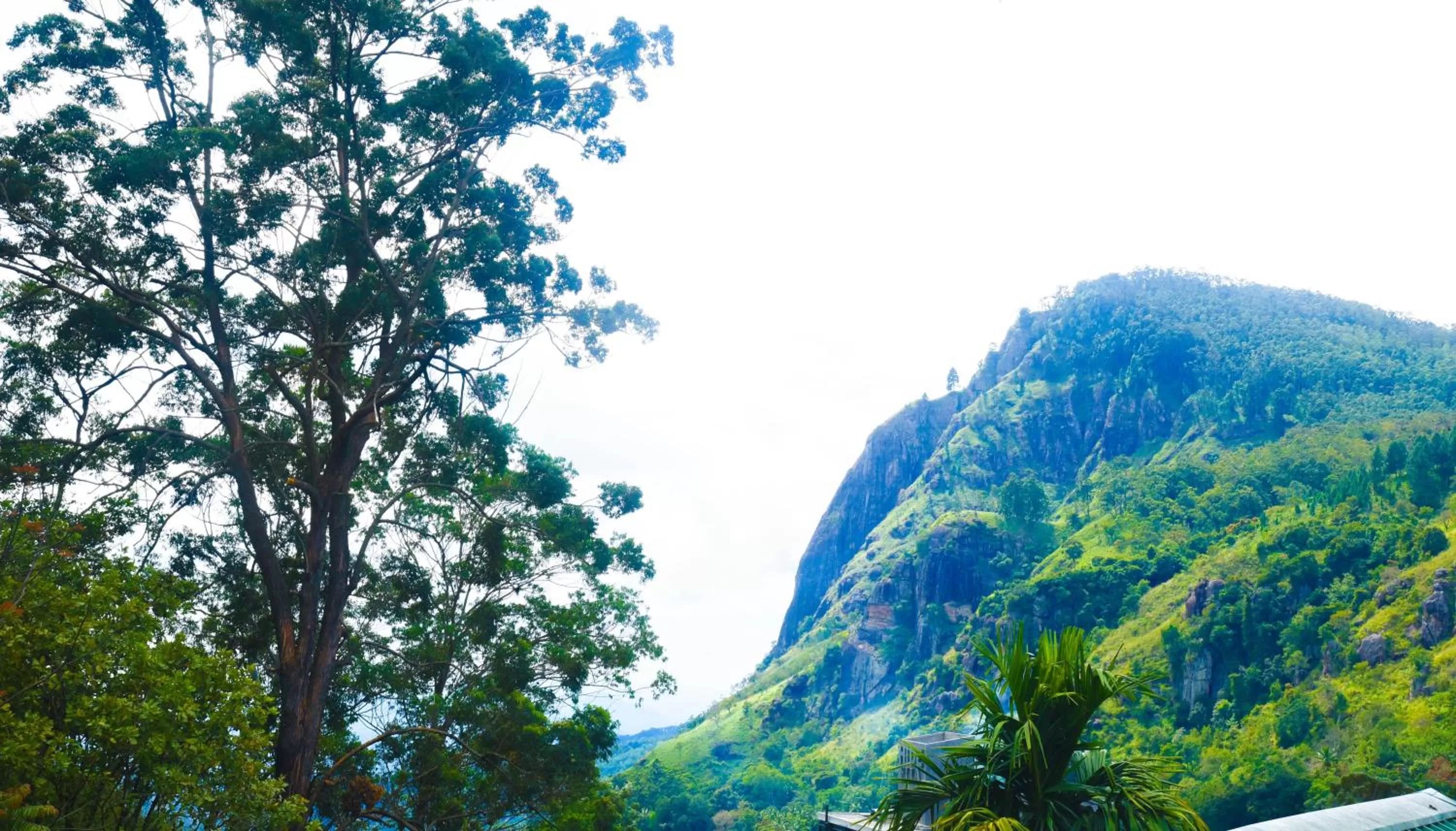 Mountain View in Madushanka Resort