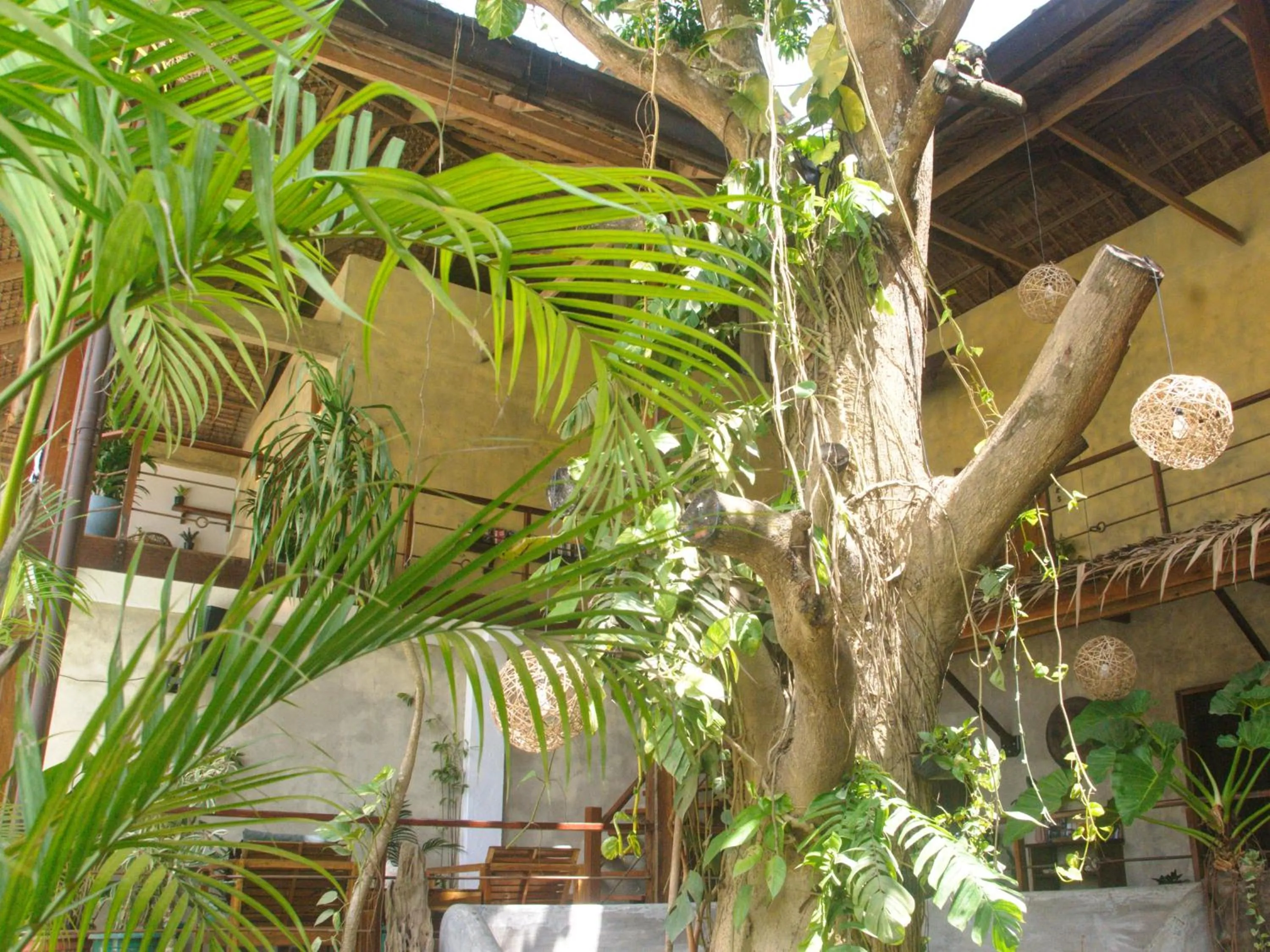 Day in Happiness Boutique Resort El Nido