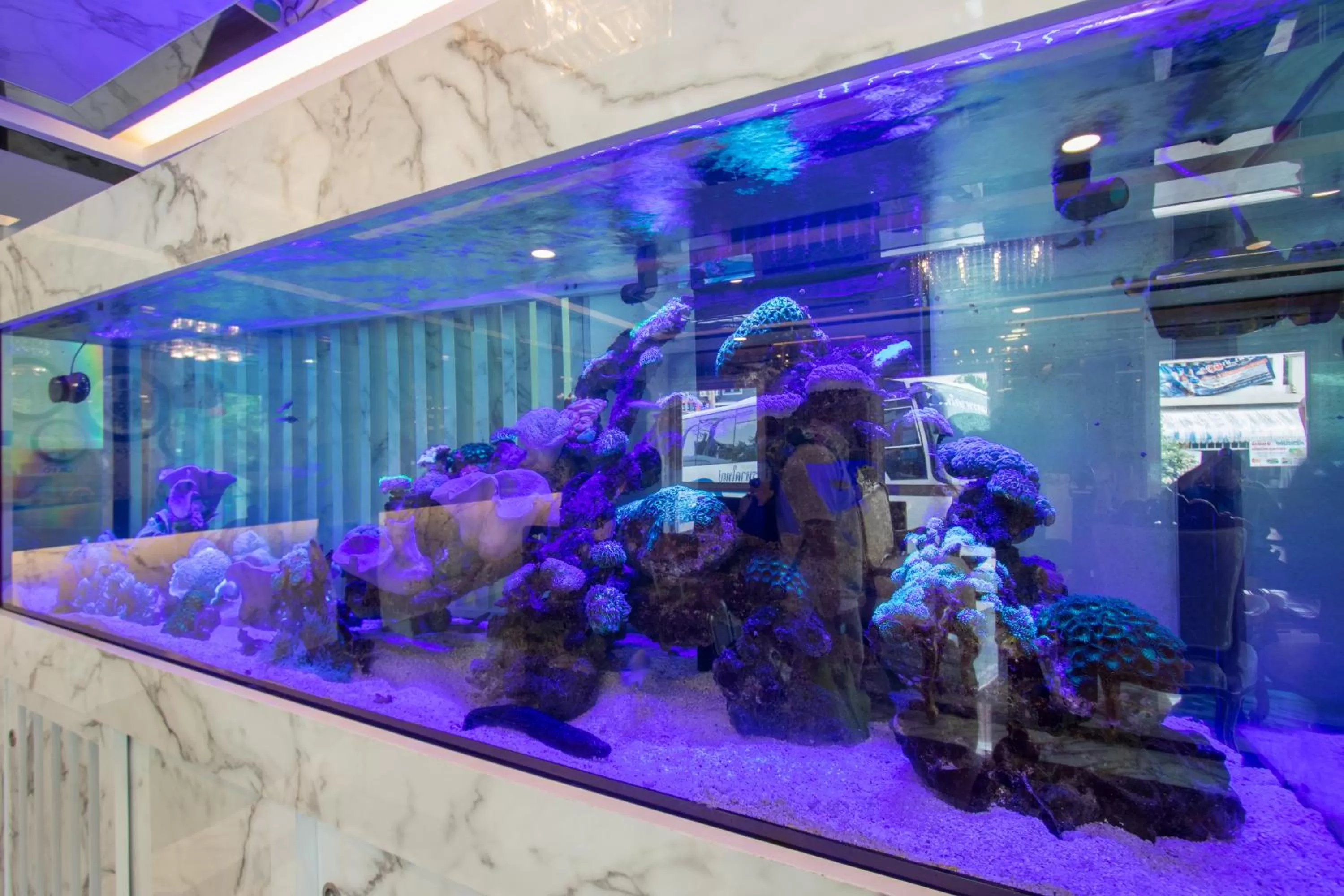 B-your home Hotel Don Mueang Airport Bangkok 如你家酒店