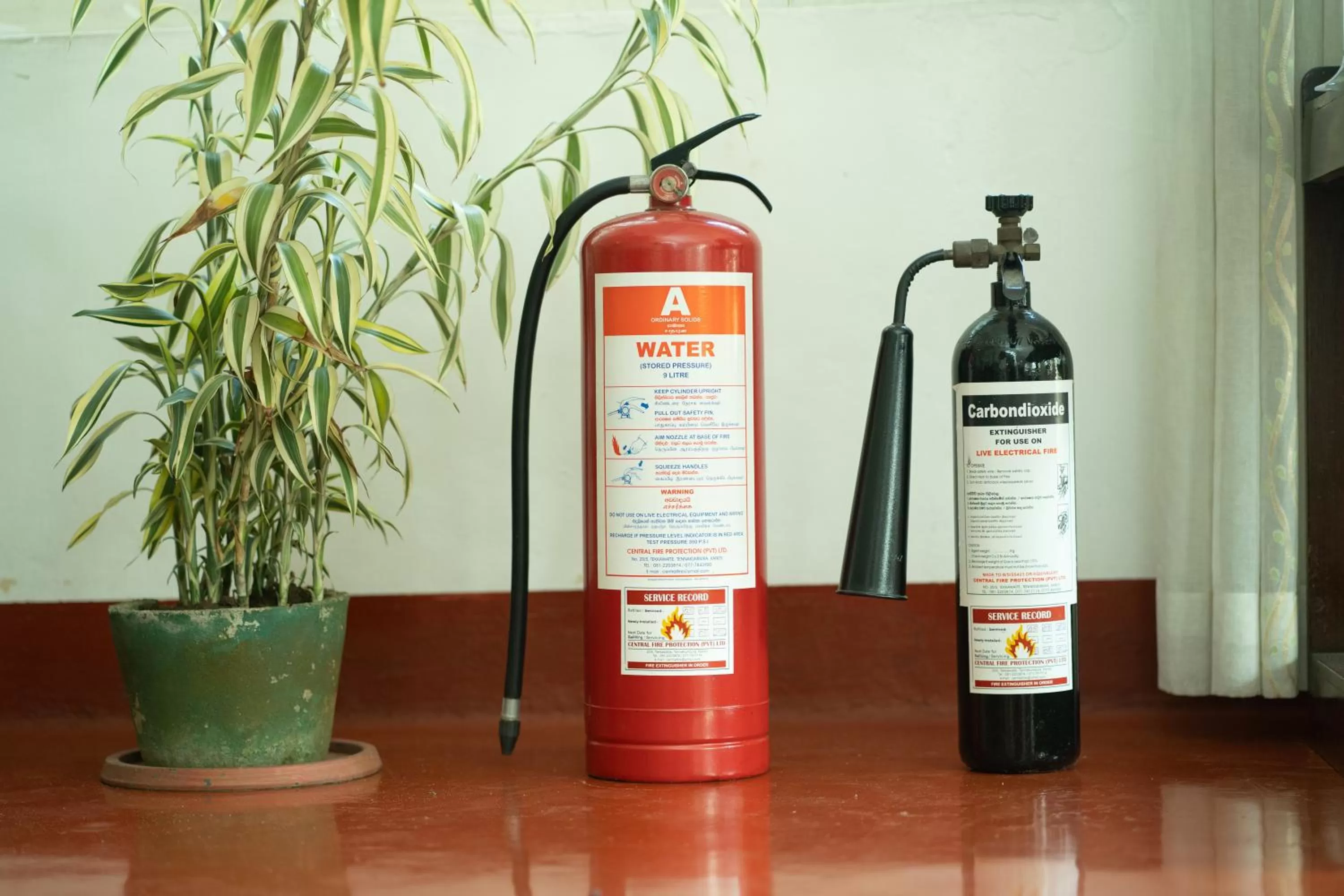 Property building in Fortuna Heritage Home