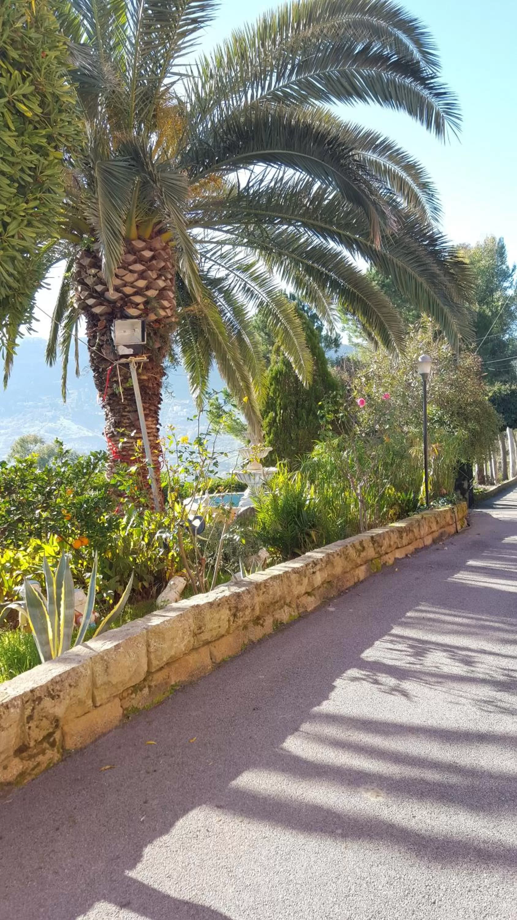 Garden view in B&B da Pietro