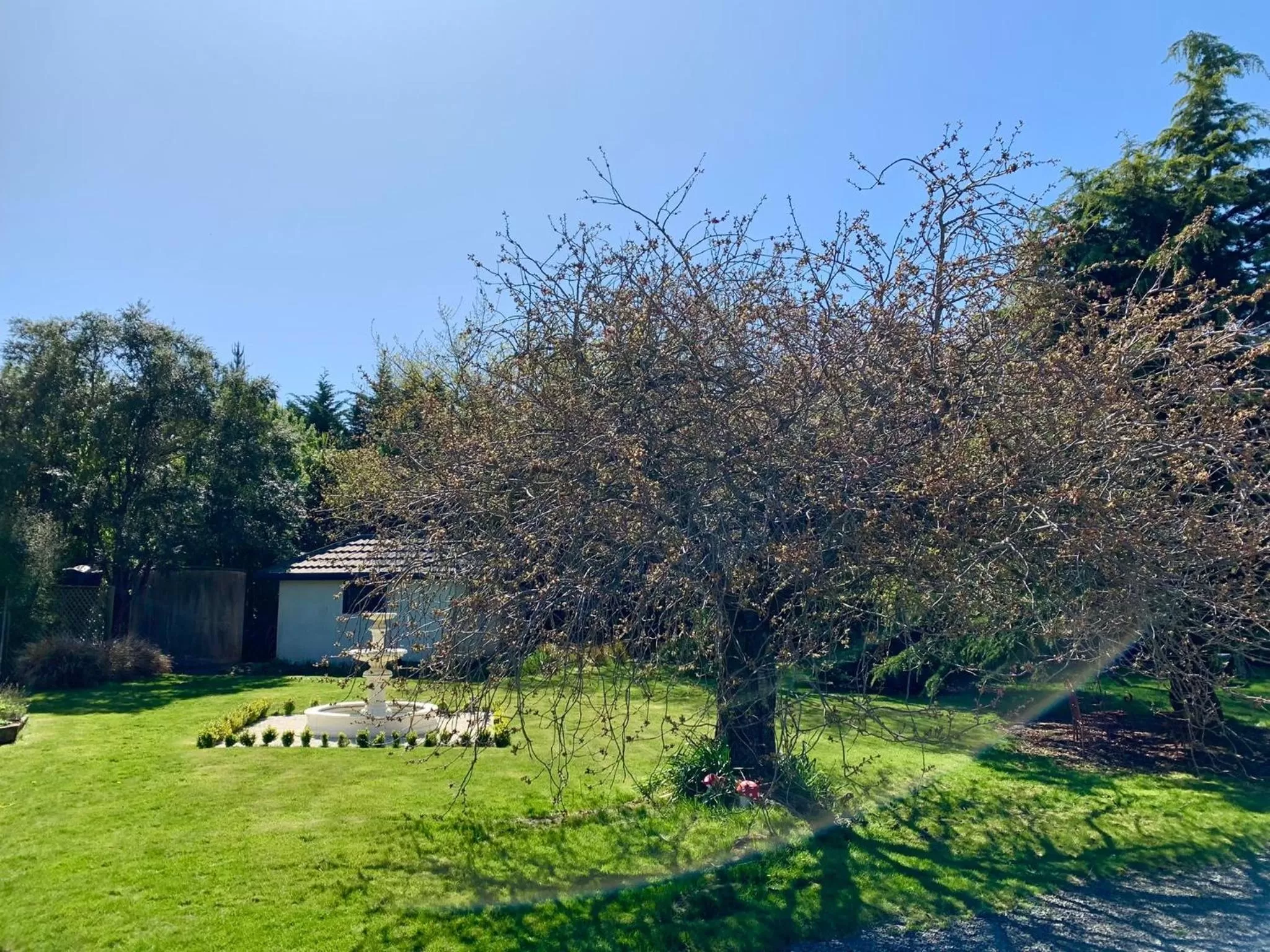 Garden view in Newlands Bed and Breakfast