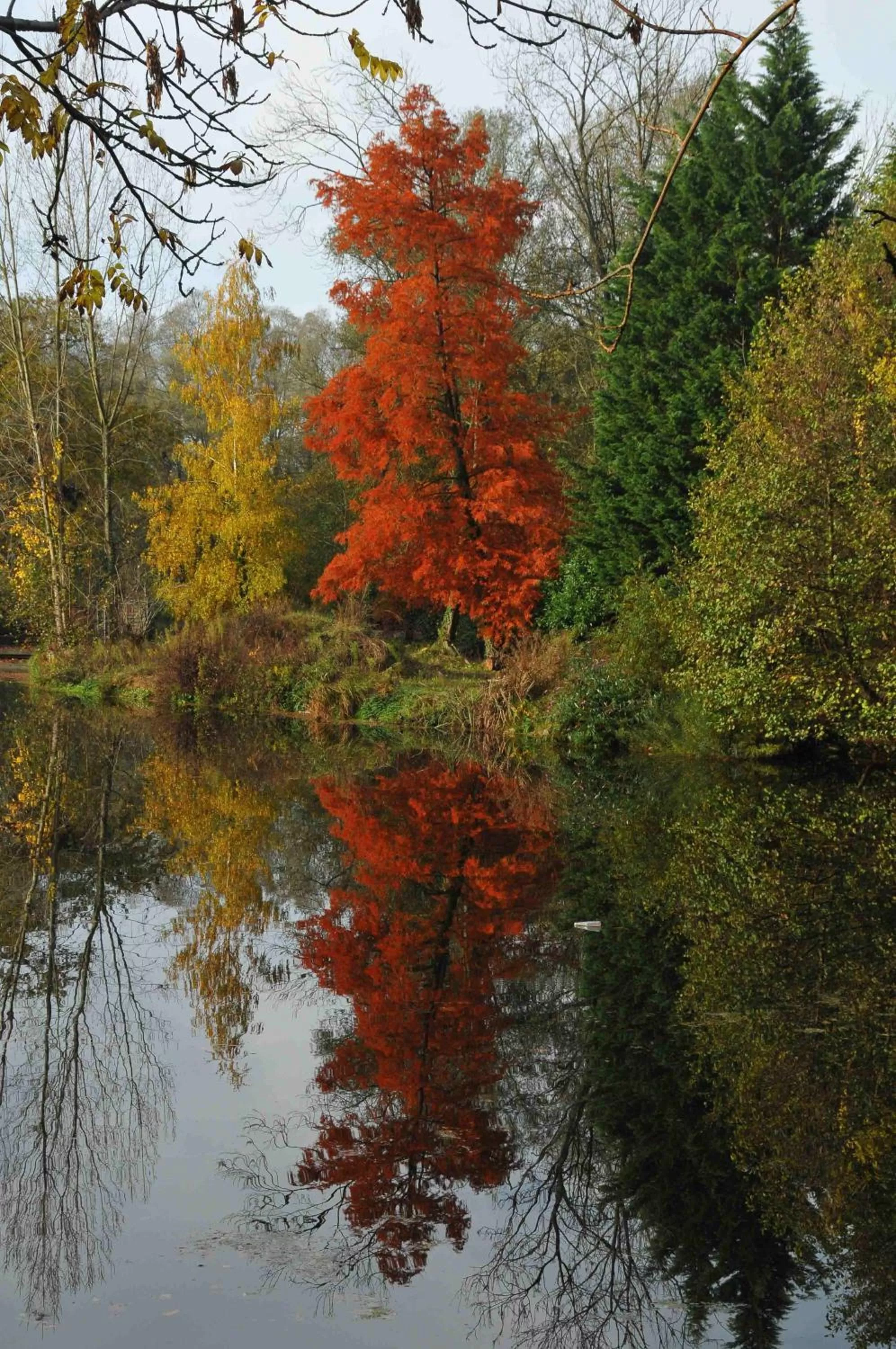 Area and facilities in Hôtel L'ile Du Saussay