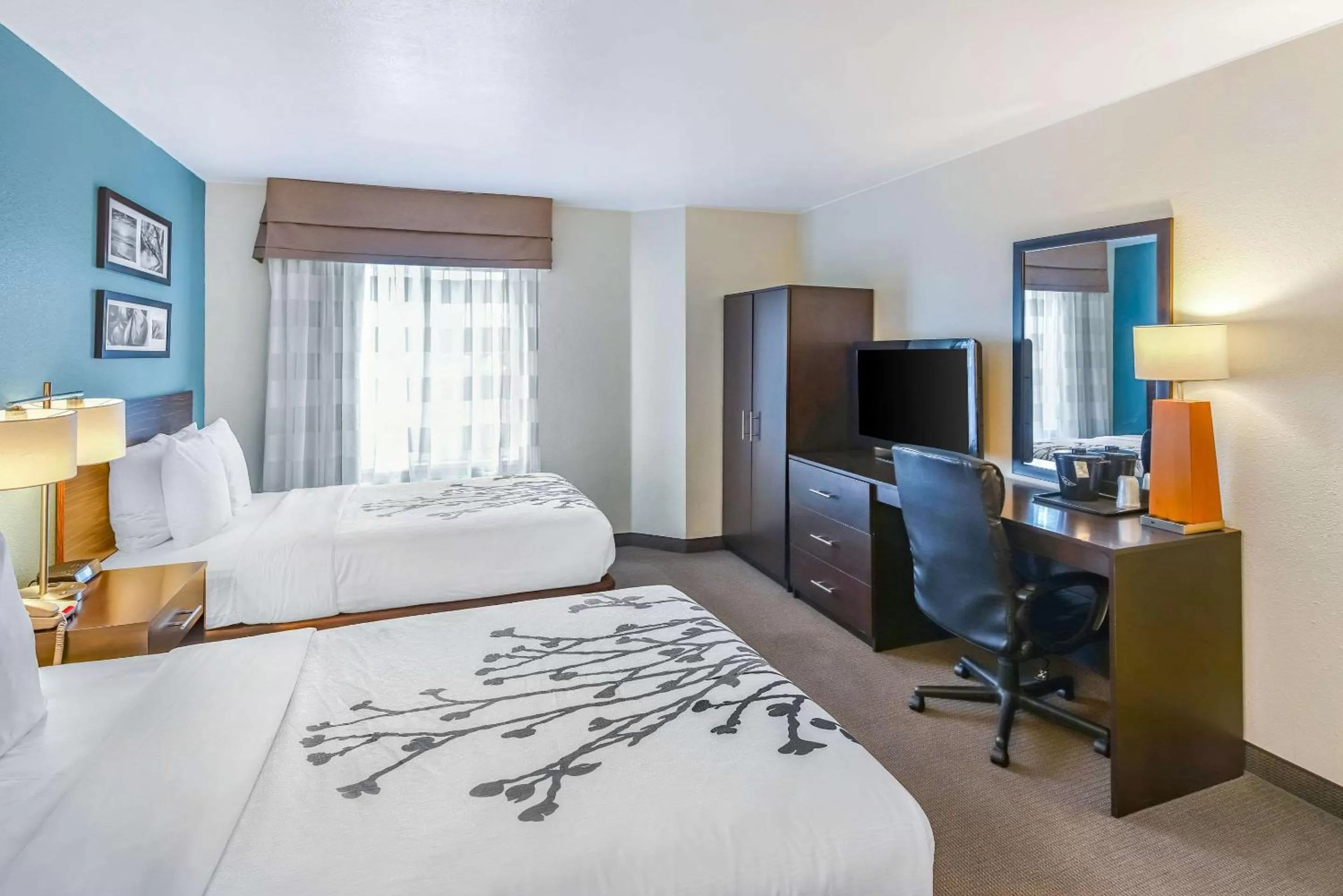 Photo of the whole room, Bed in Sleep Inn near Washington State Line