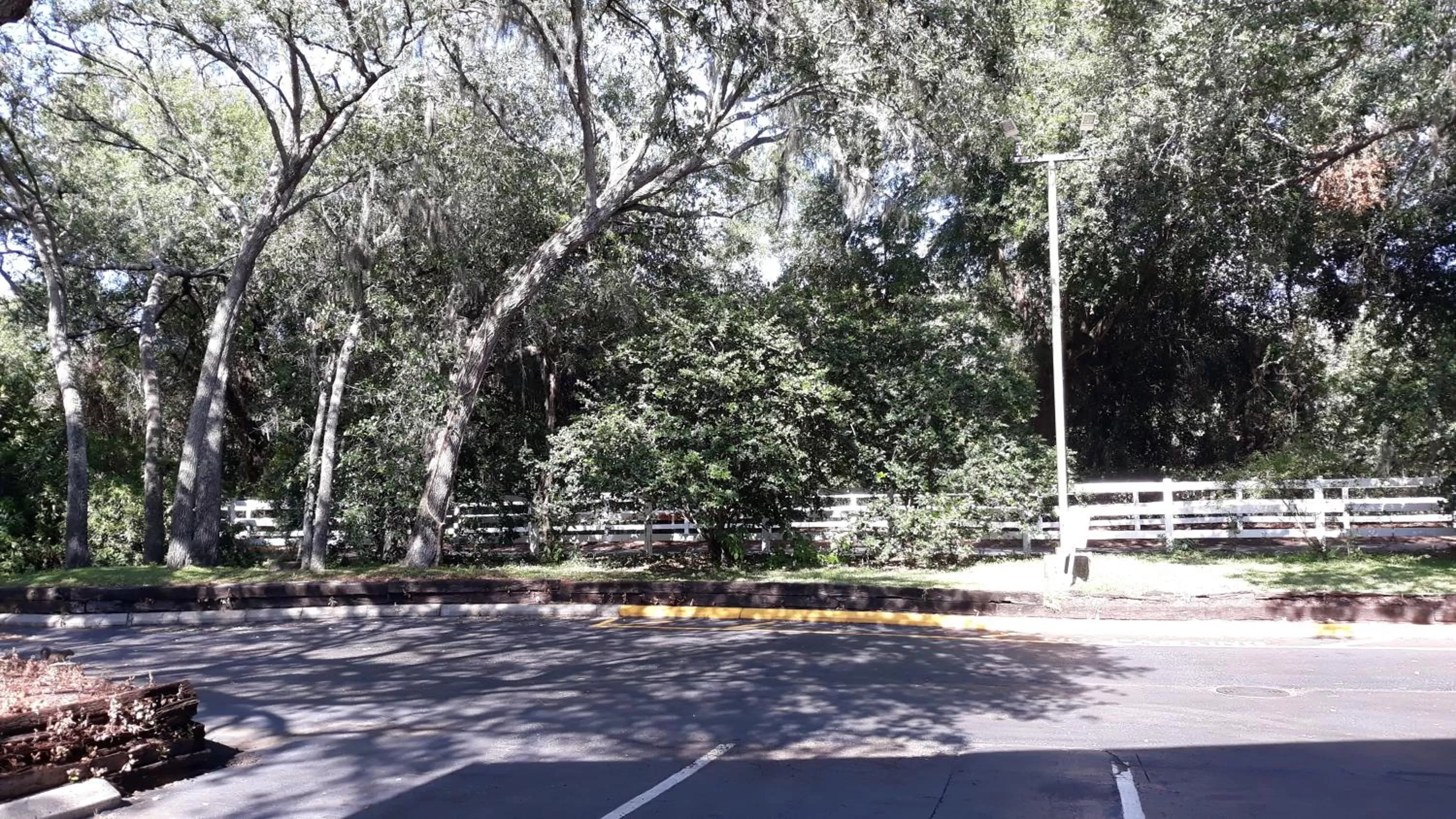 Natural landscape in Ramada by Wyndham Temple Terrace/Tampa North