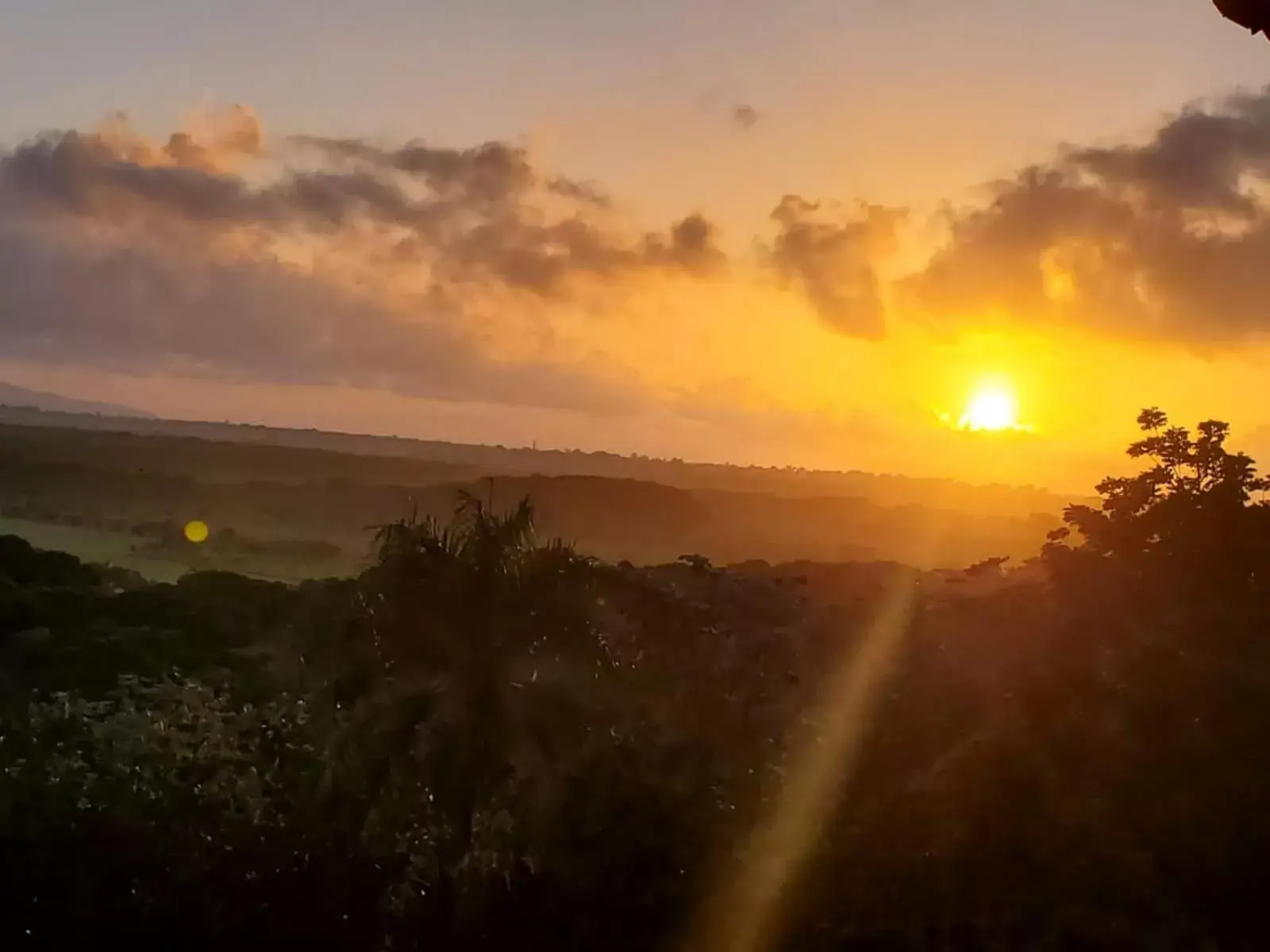 Superior Twin Room with Sea View in Altos de Caño Hondo Superior Twin Room with Sea View in Altos de Caño Hondo