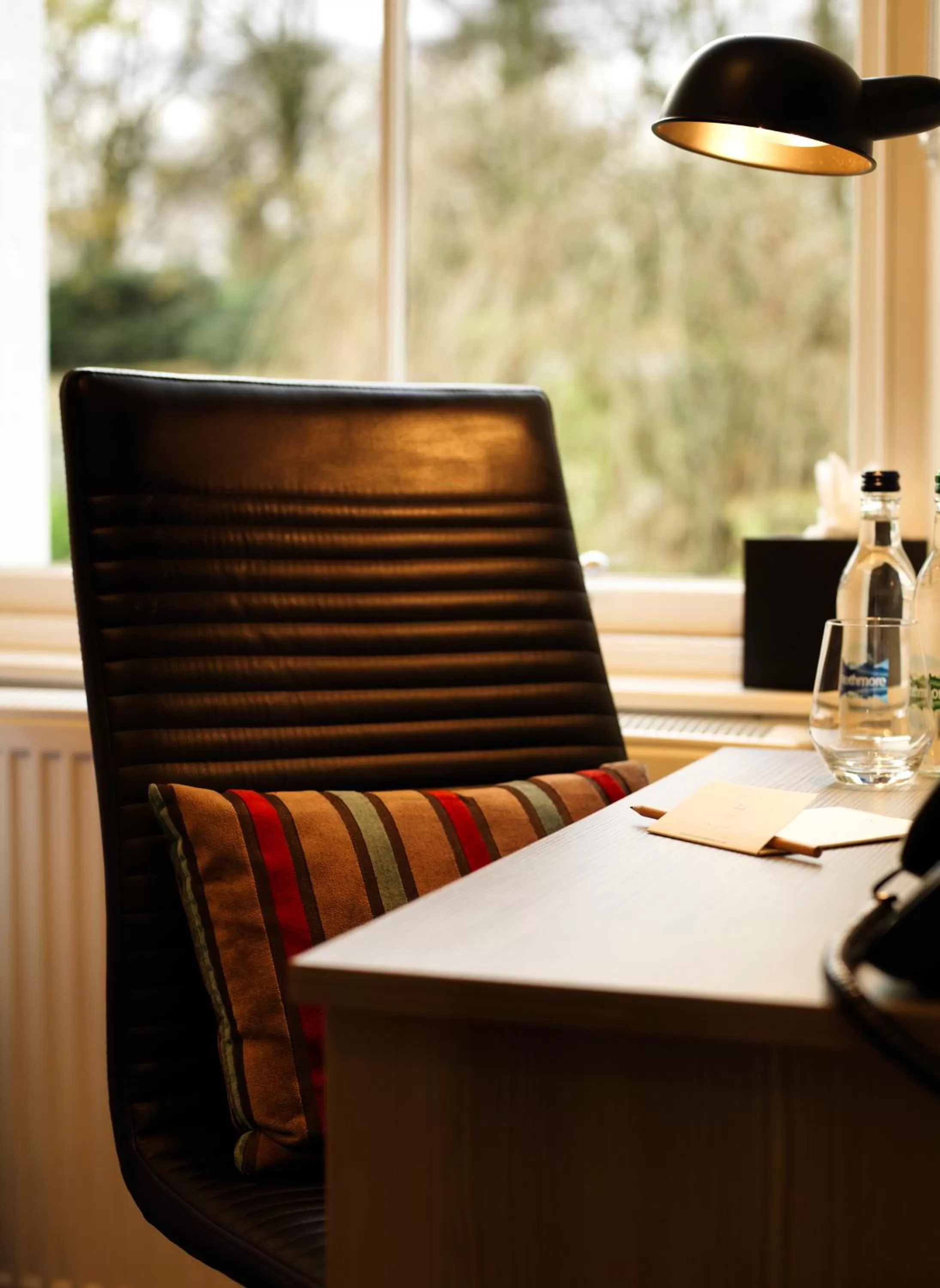 Business facilities in 24 Royal Terrace