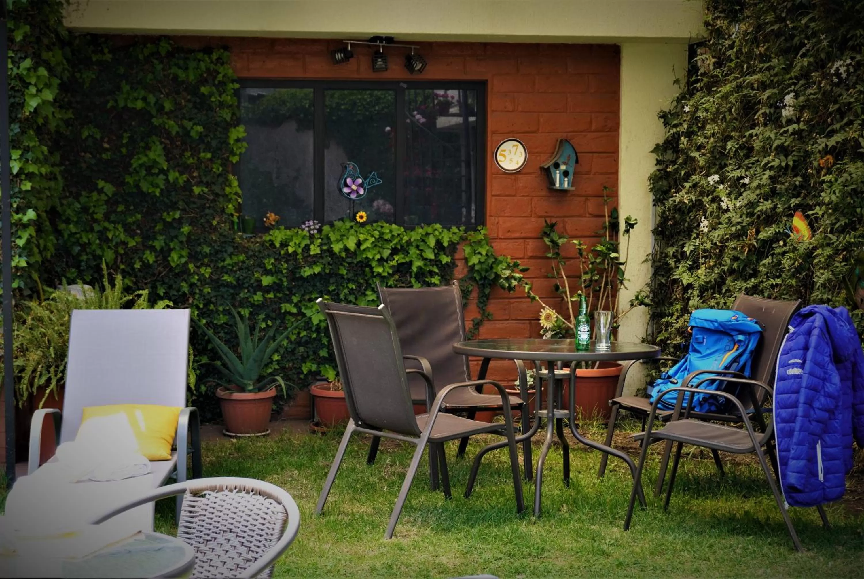 Garden in Hotel Rincon Aleman