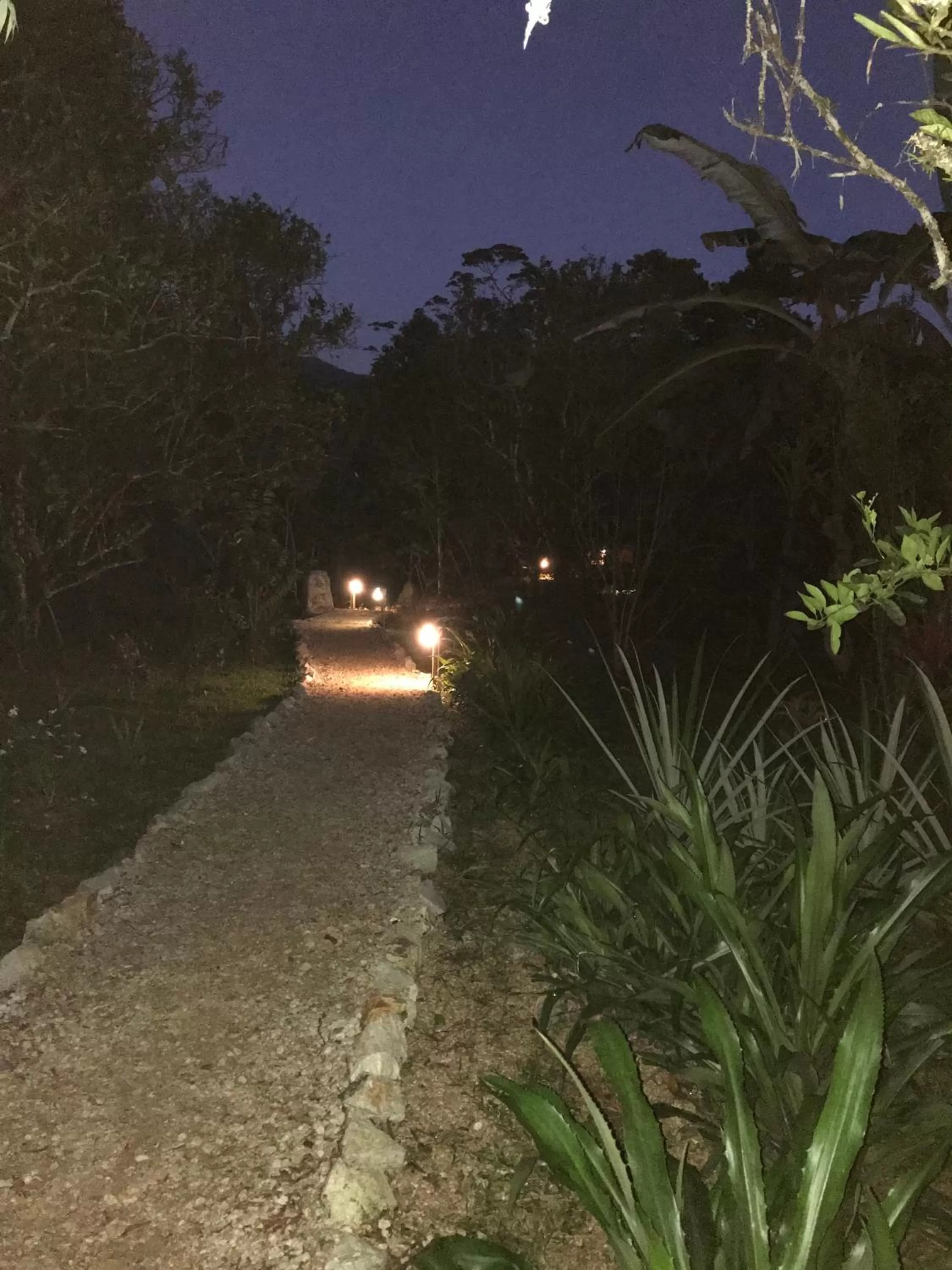 Garden in Sattva Land