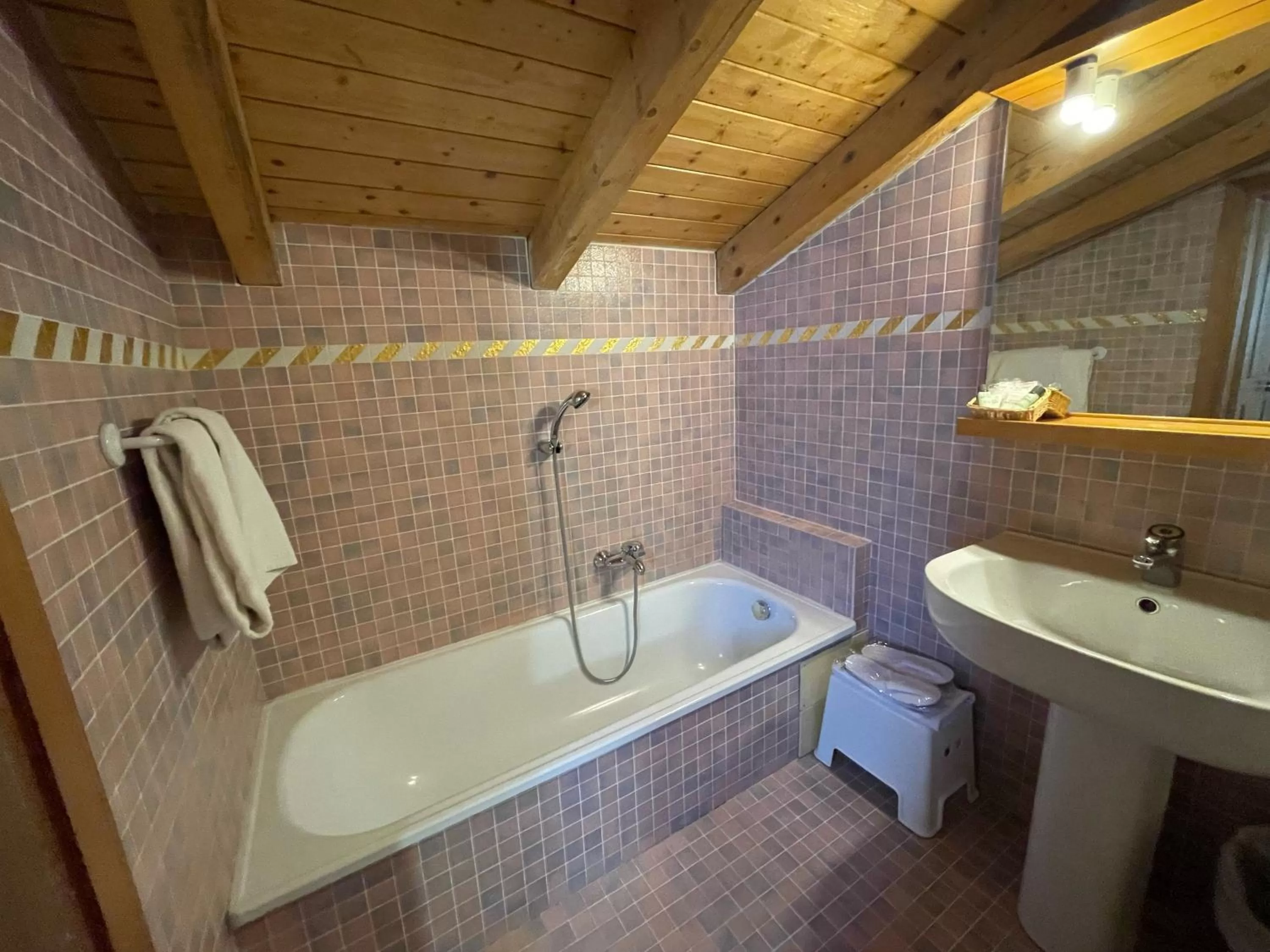 Bathroom in Hotel New Genziana