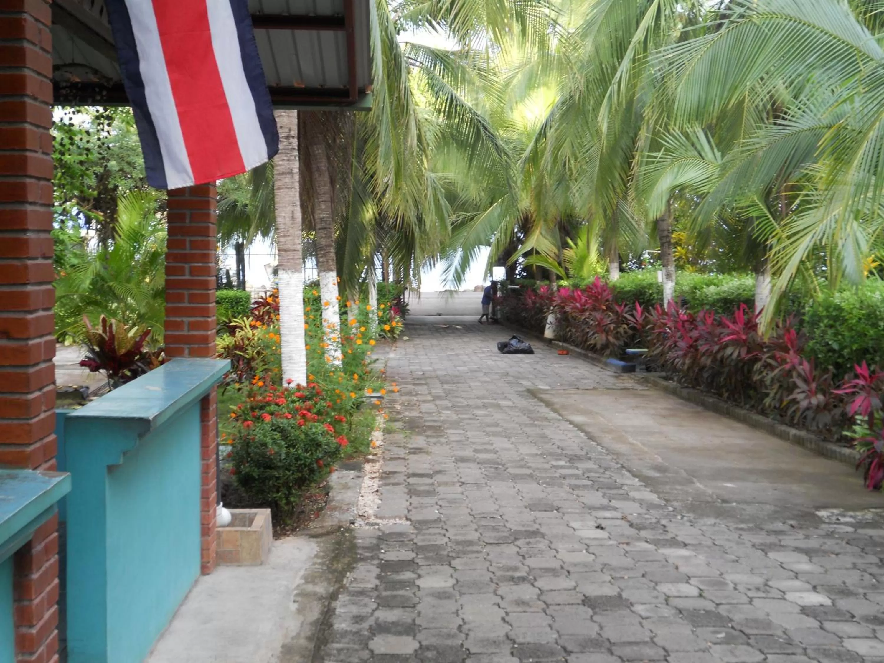 Day in Hotel Marielos