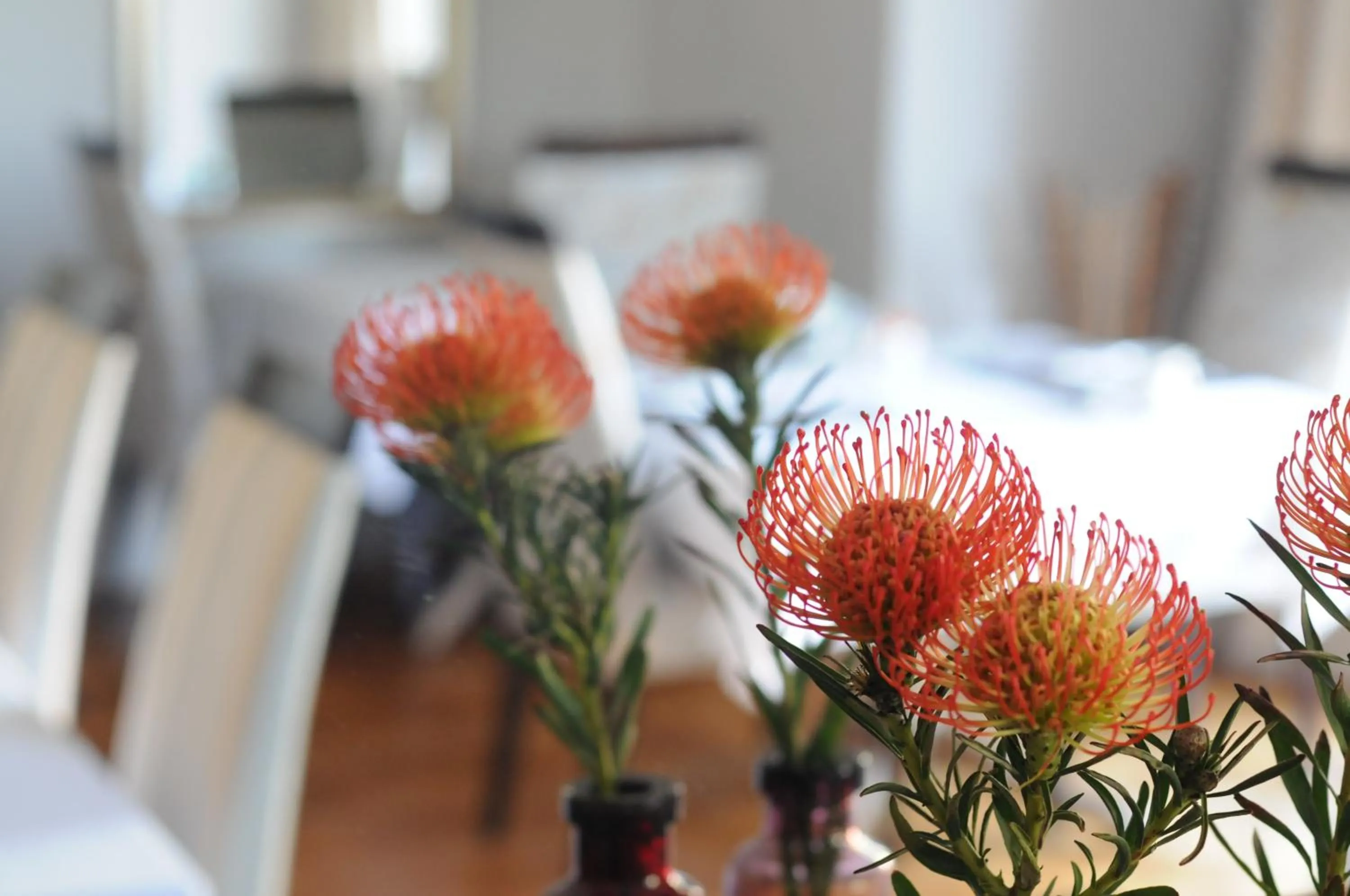 Breakfast, Bed in Abbey Manor Luxury Guesthouse