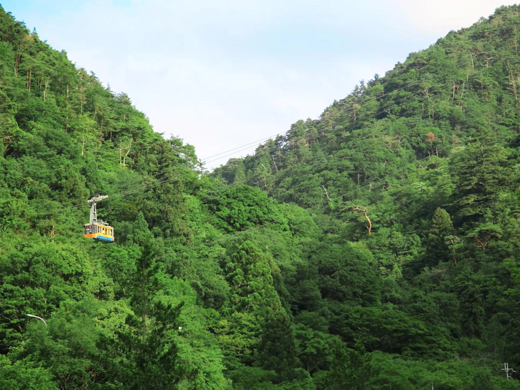 Spring in Okuno Hosomichi