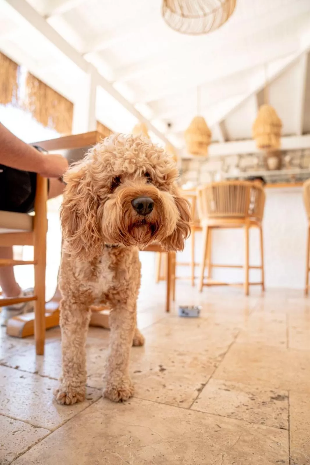 On site in Voger Alaçatı Silence