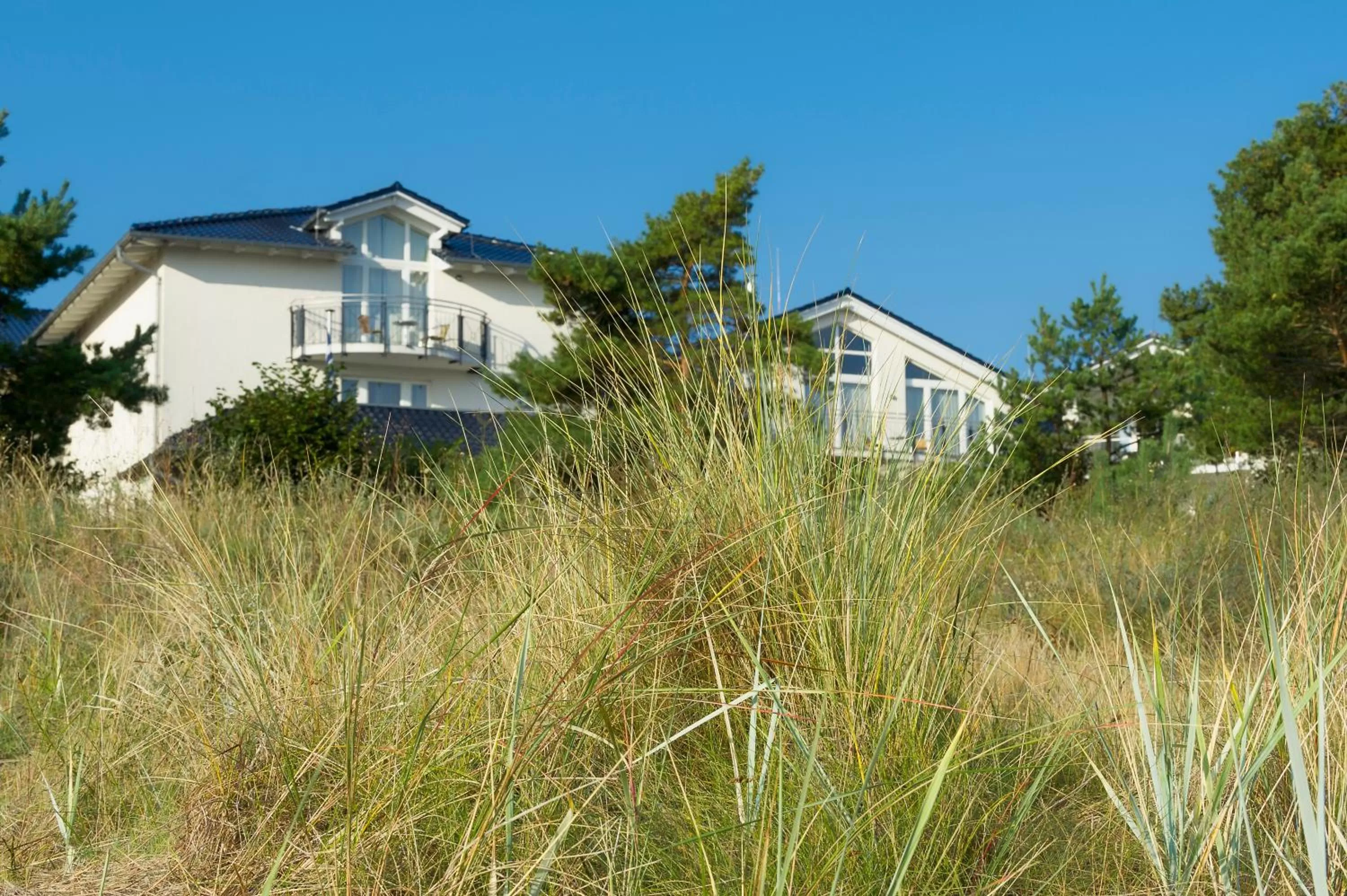 Garden in Dorint Strandhotel Binz/Rügen