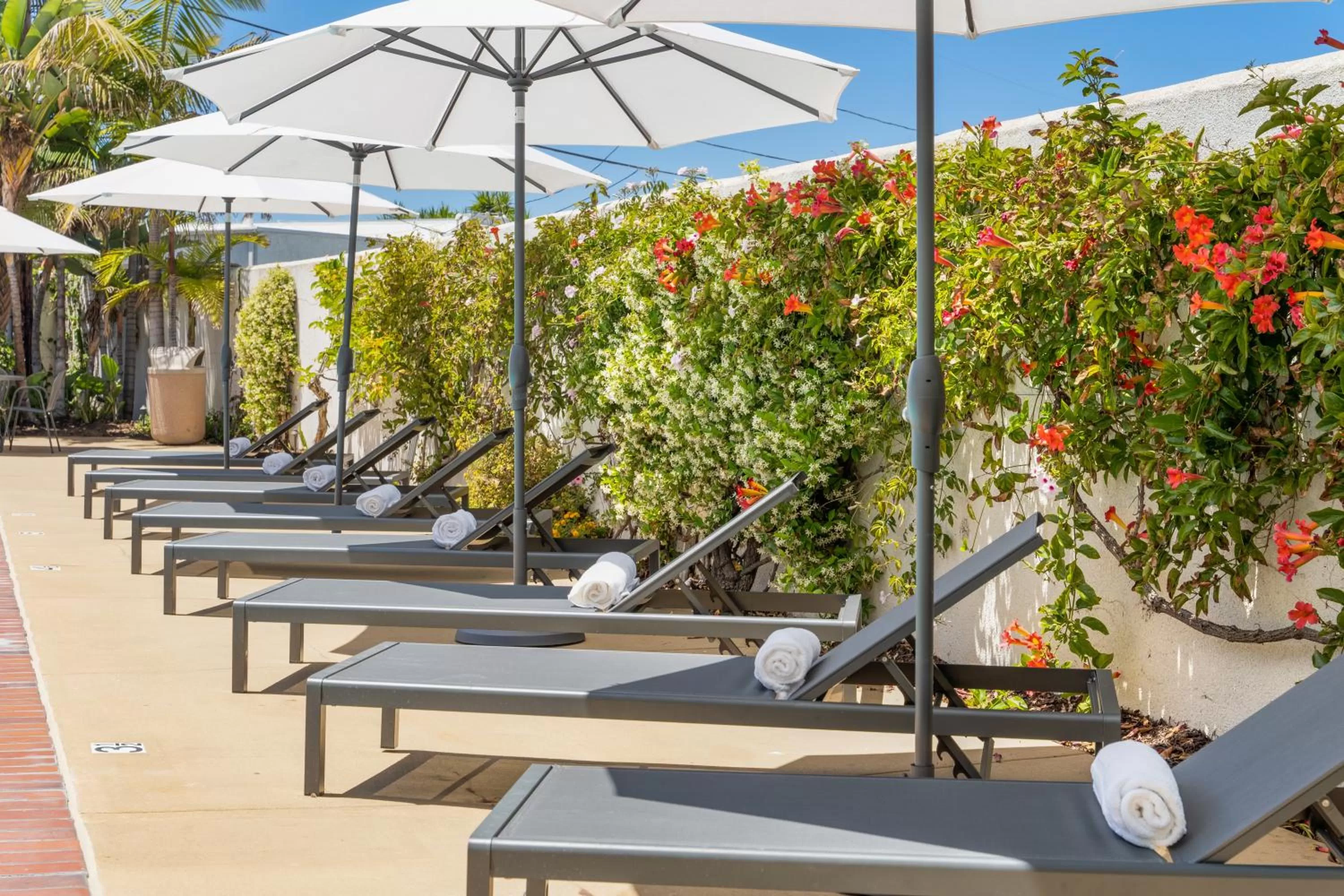 Pool view in Casablanca Inn