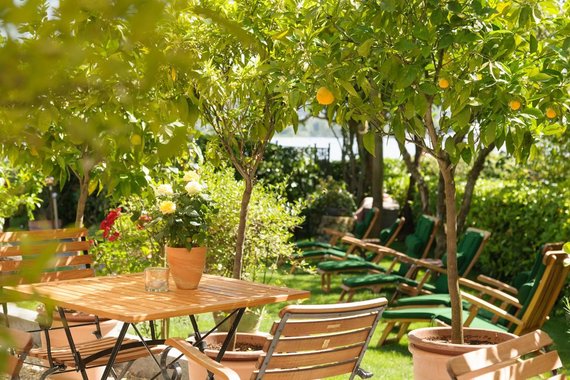 Balcony/Terrace in Hotel Barleben am See