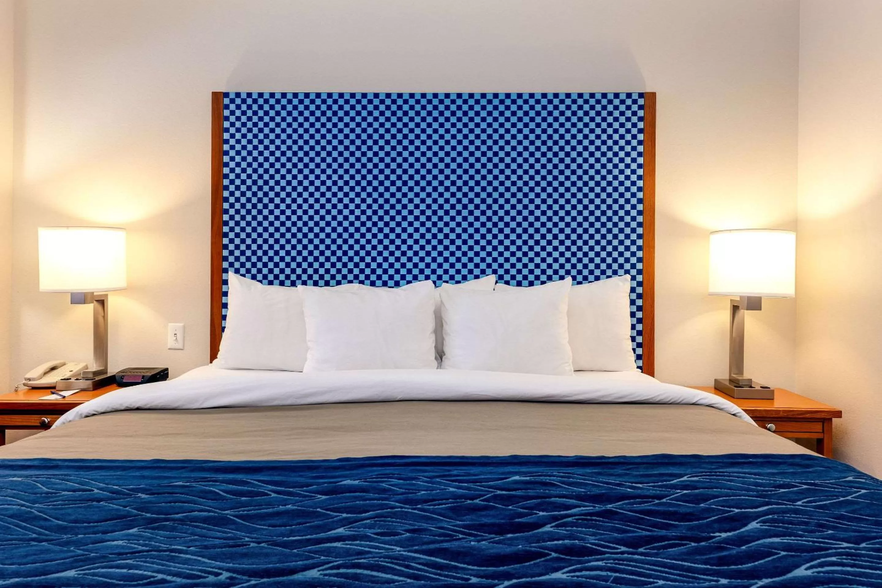 King Room - Accessible/Non-Smoking in Comfort Inn & Suites Savannah Airport