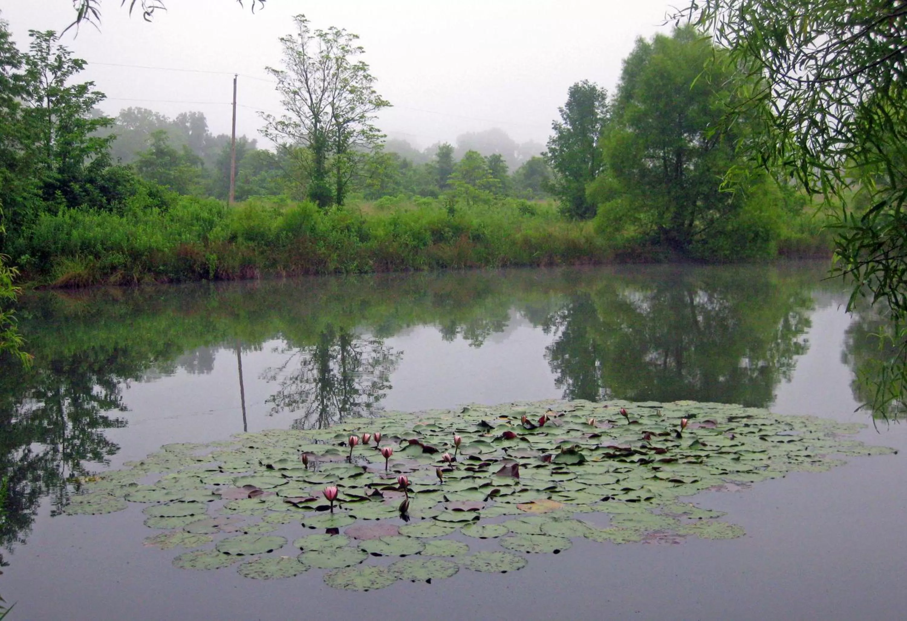 Lake view in Mayhurst Estate
