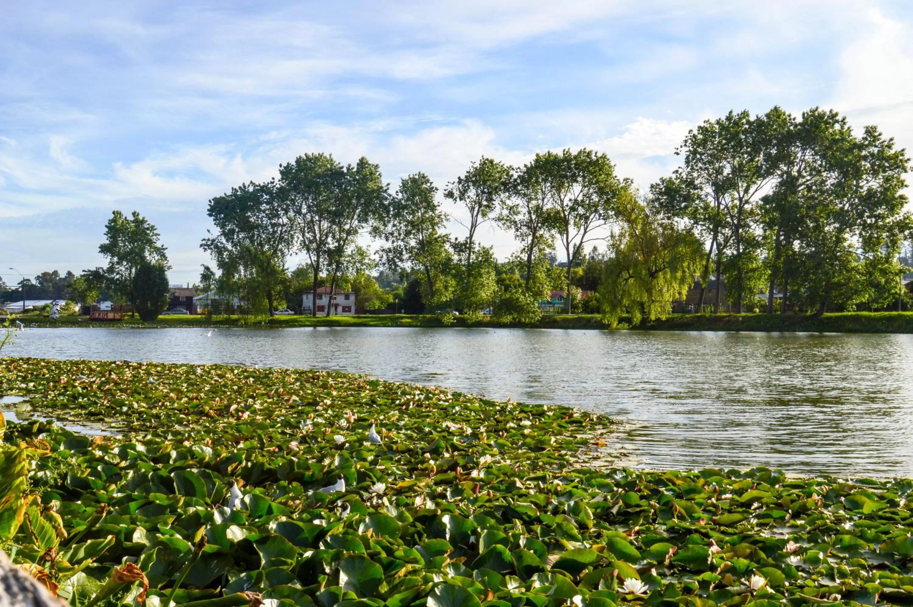 Natural landscape in Hotel Boutique Casa Werner