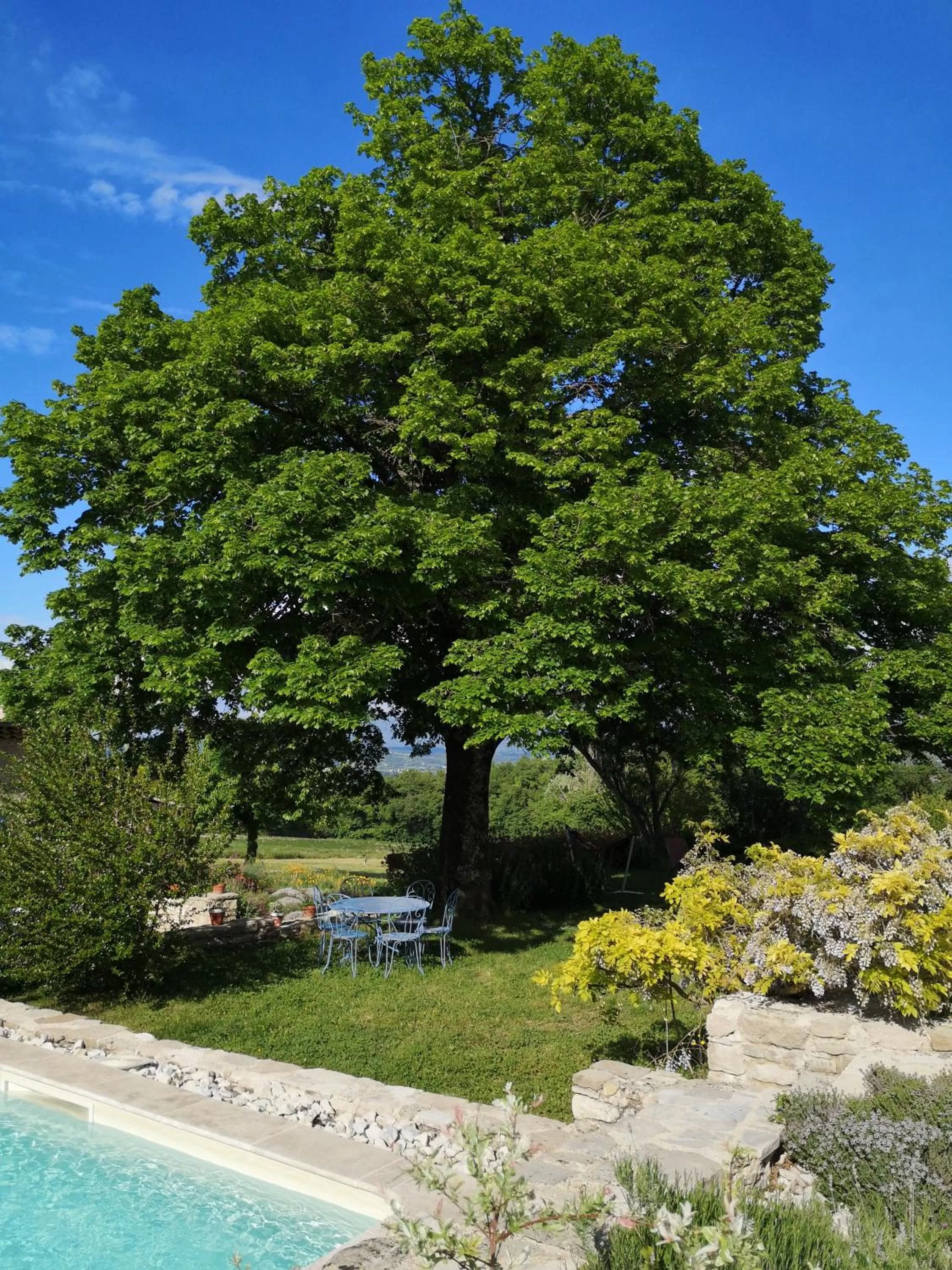 Garden view in Chez Nathalie et Raphaël