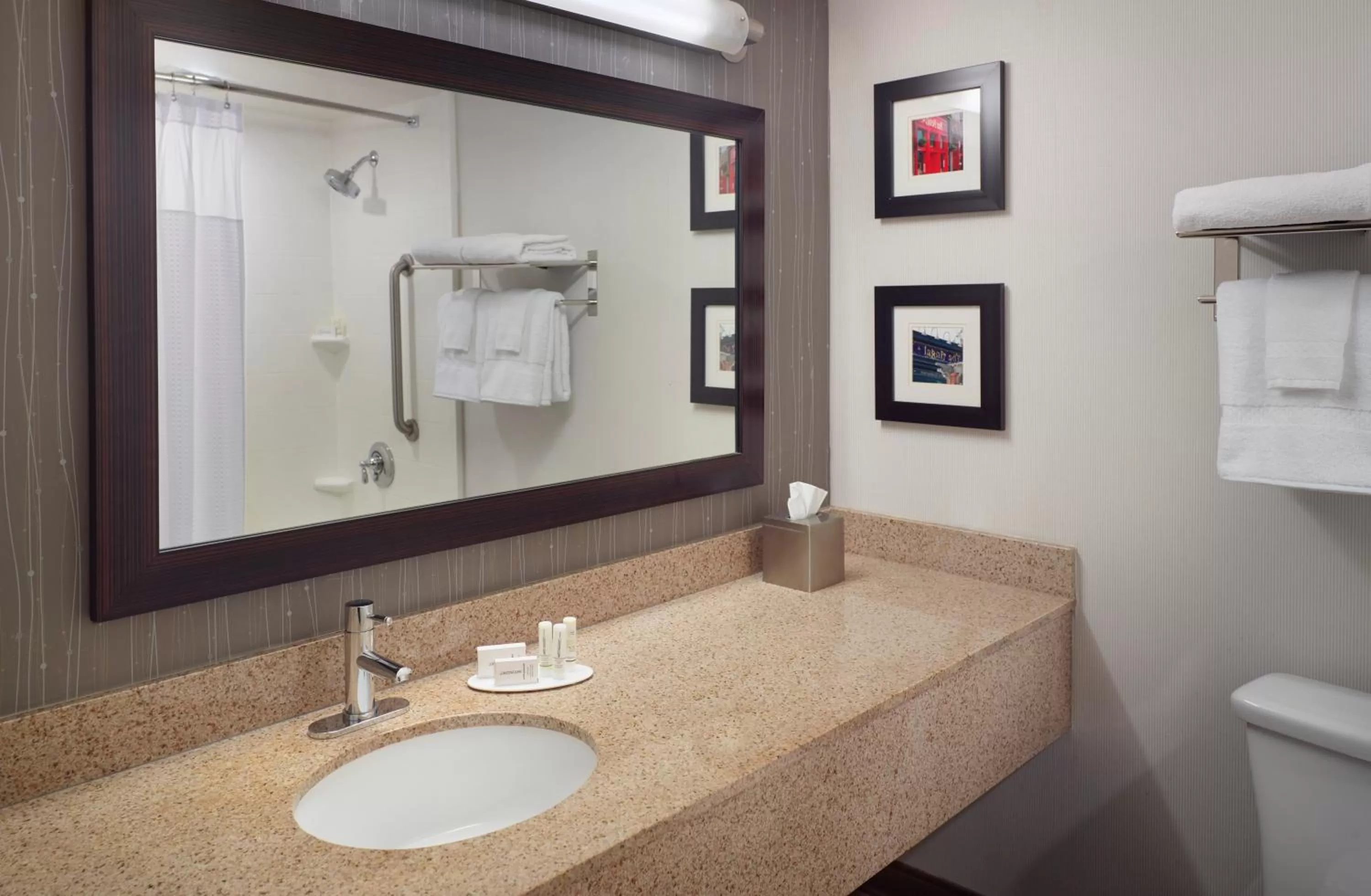 Deluxe King Room - Non-Smoking in Courtyard Atlanta Decatur Downtown/Emory