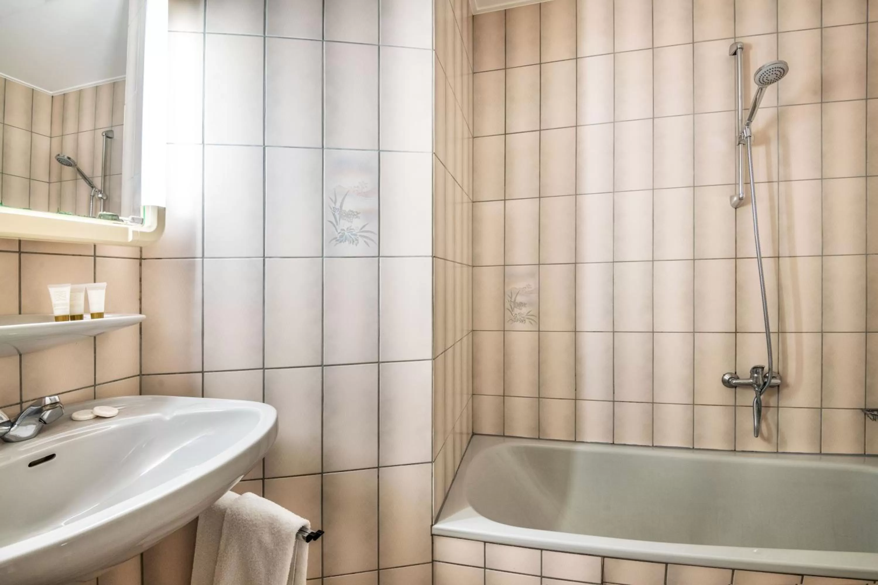 Bathroom in Hotel Le Postillon