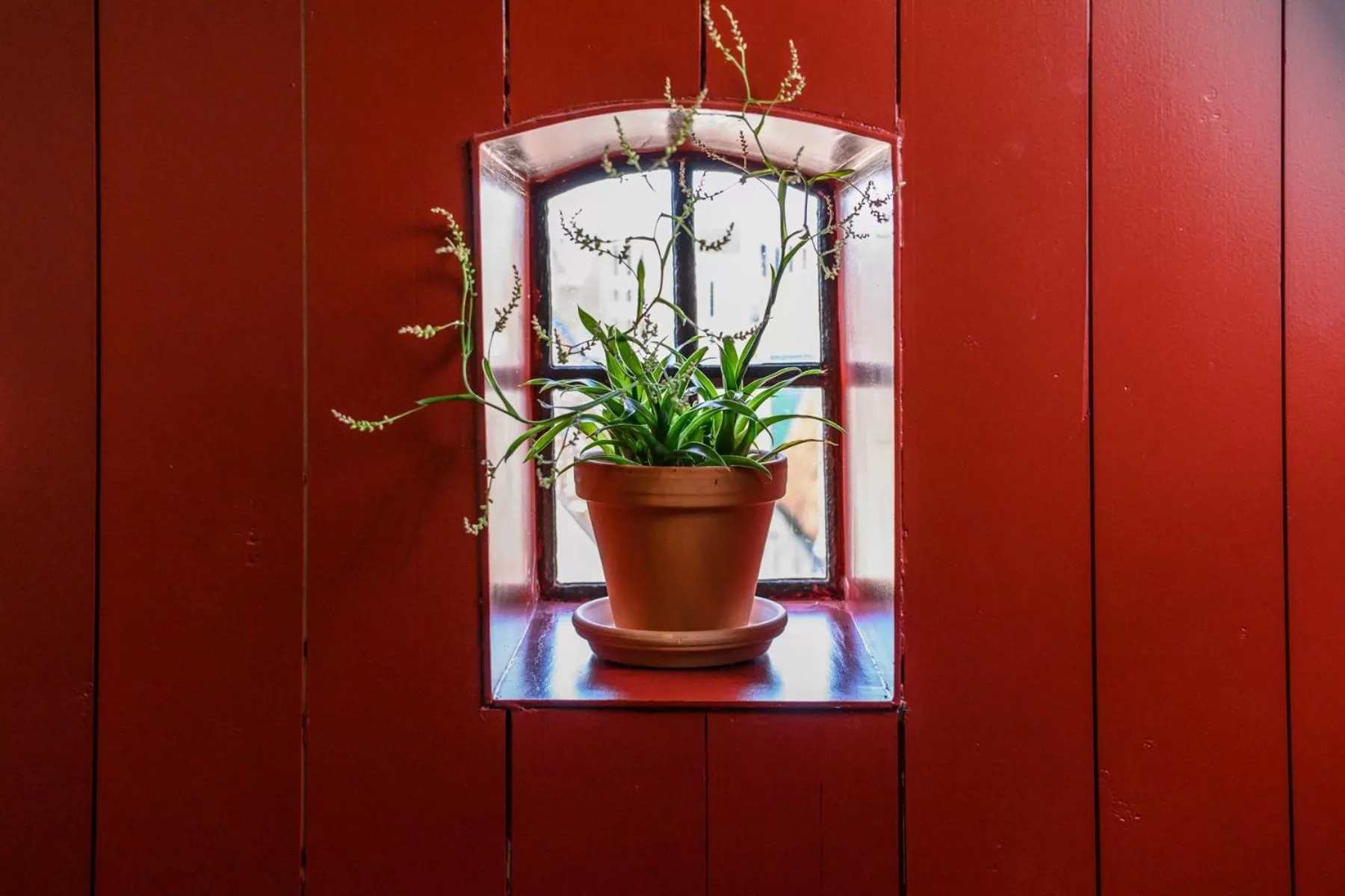 Bedroom in B&B Turfkade9