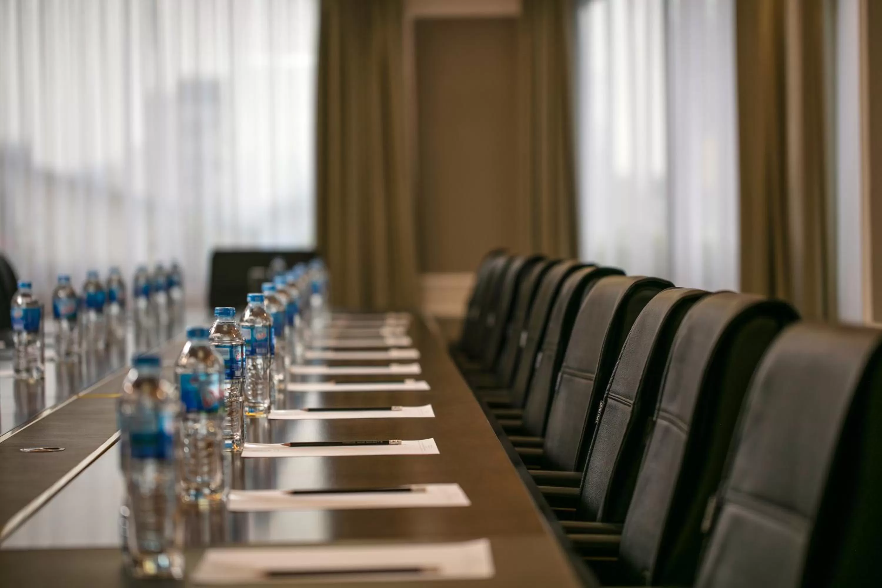 Meeting/conference room in Halais Hotel