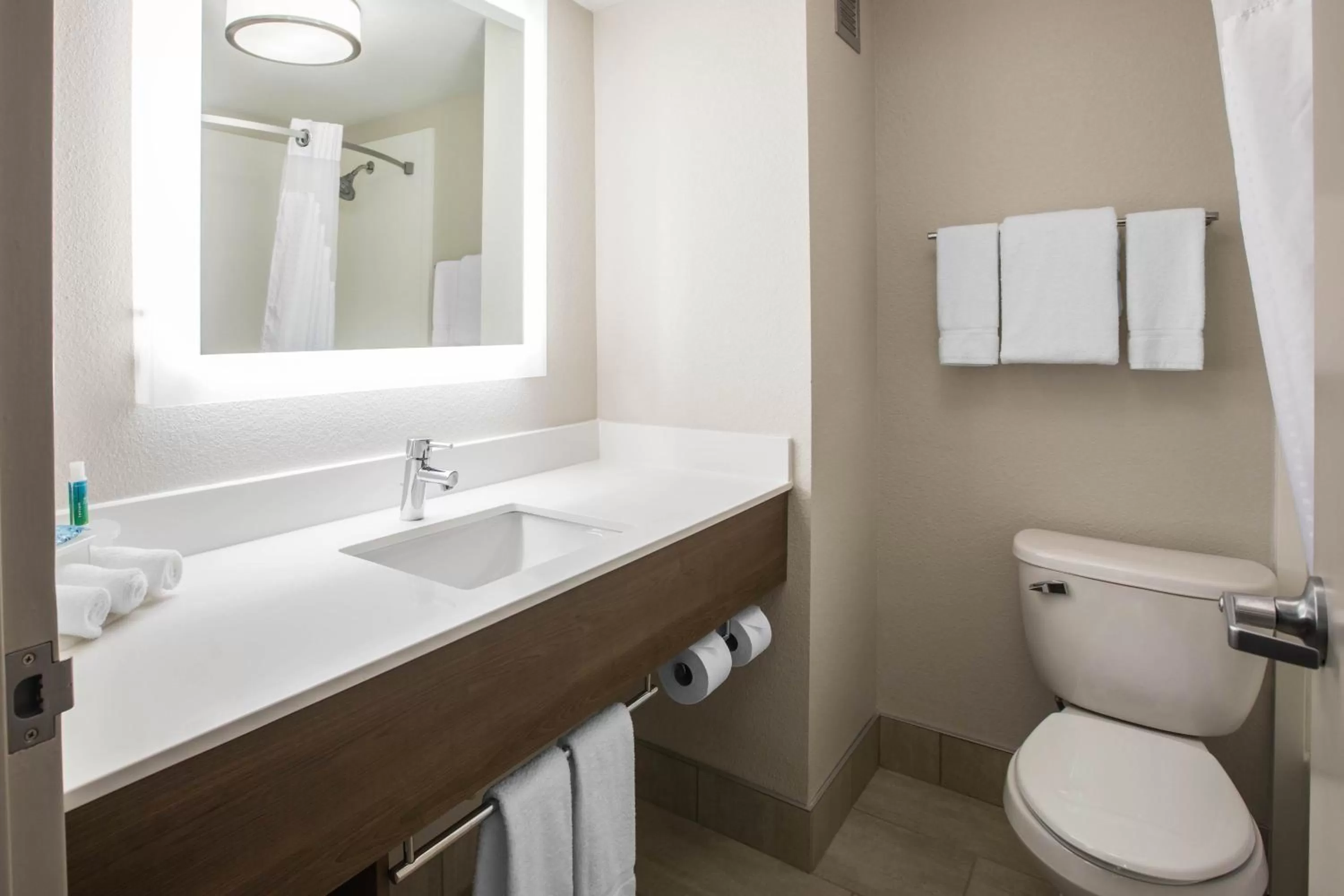 Bathroom in Holiday Inn Express & Suites Ludington by IHG