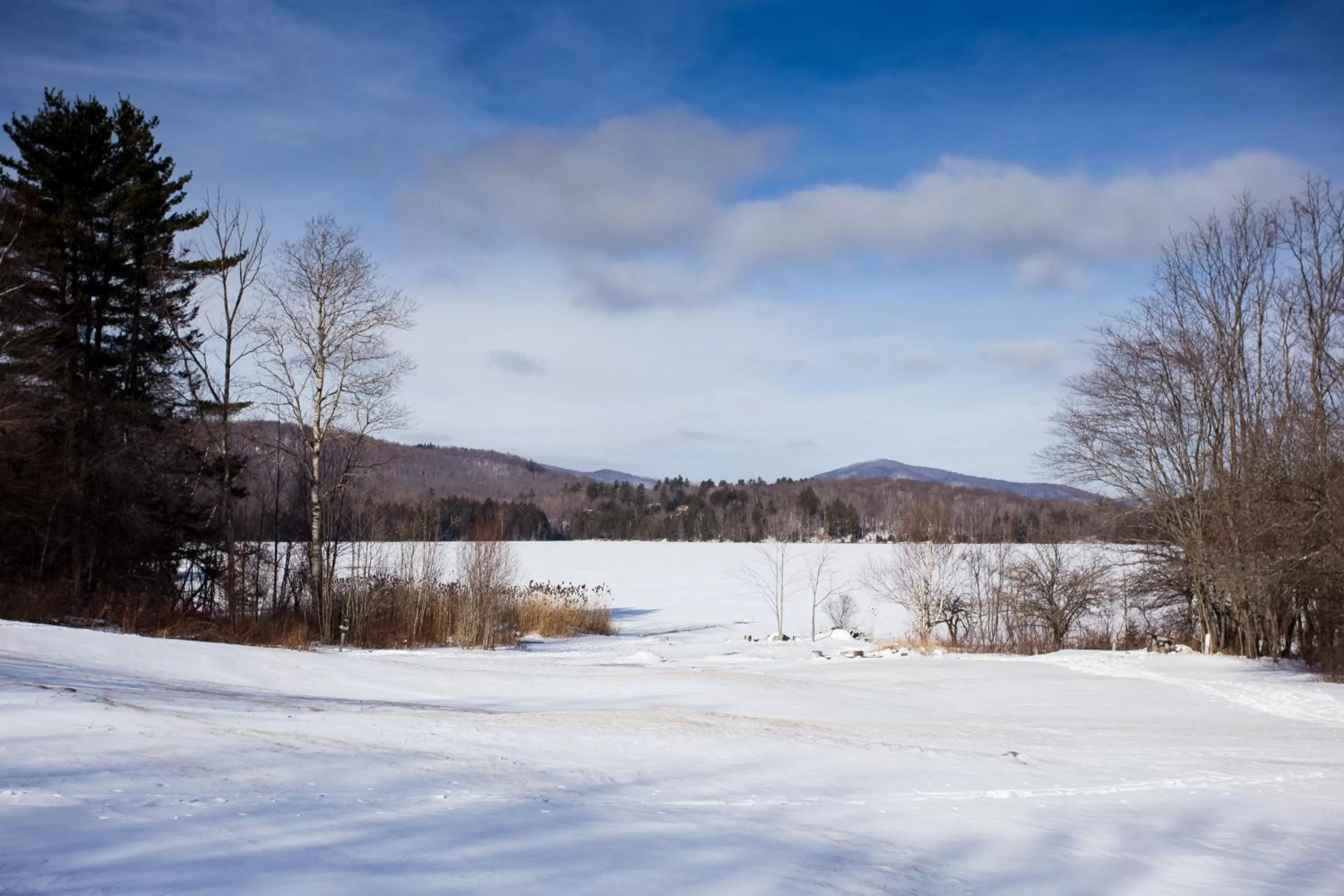 Natural landscape in Mountain Meadows Lodge