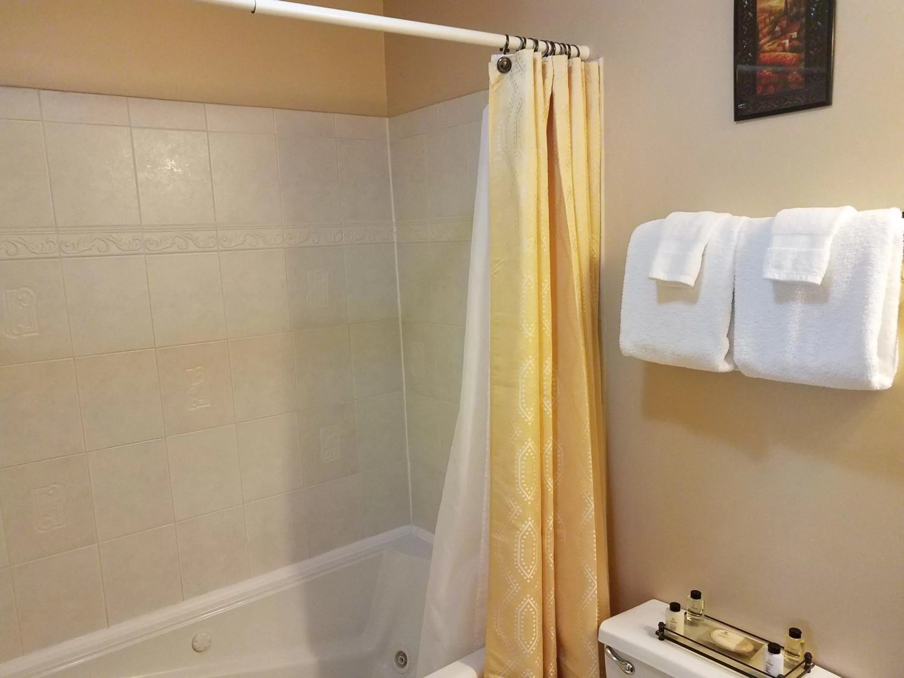 Shower in Old Brick Inn