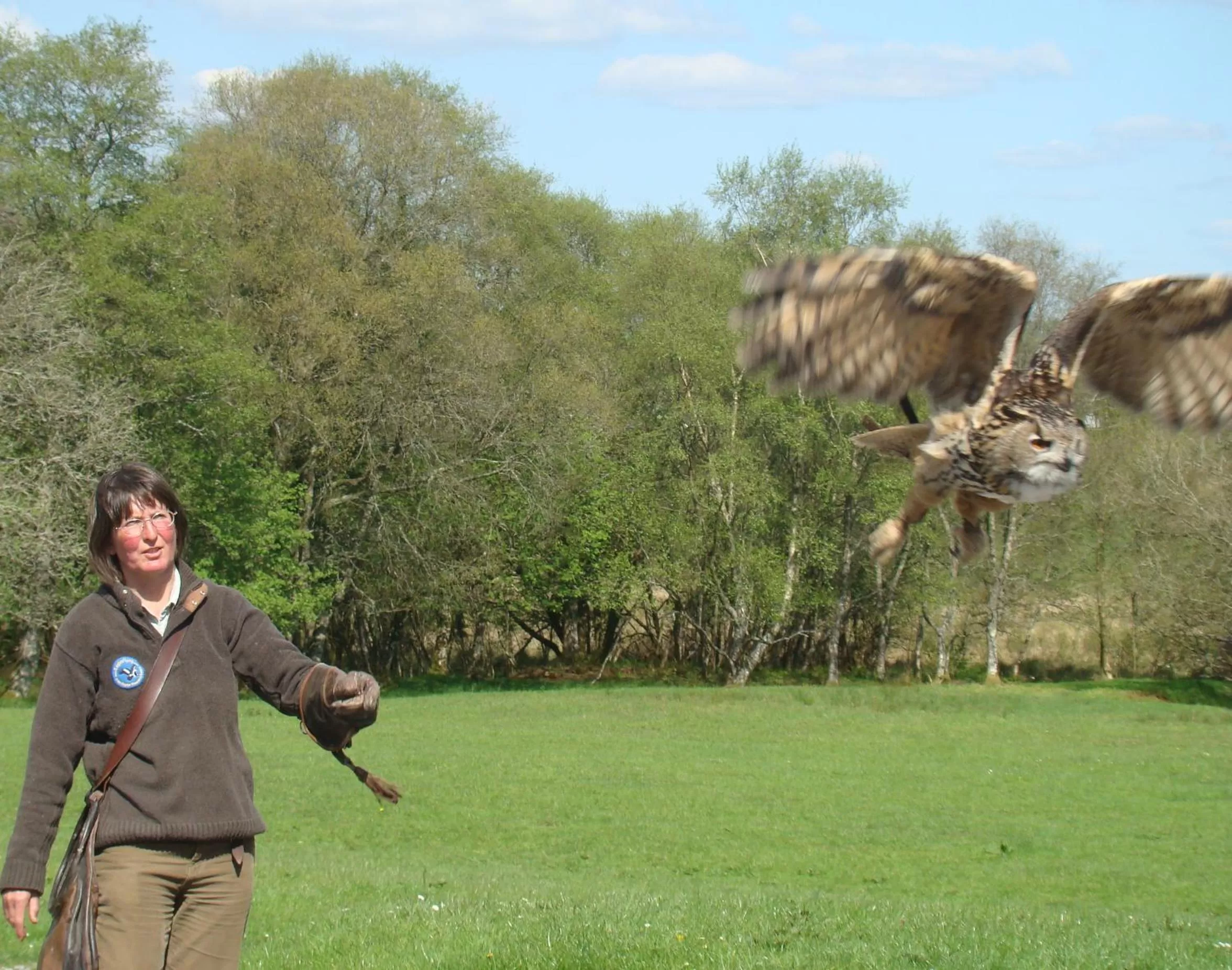 Activities in Temple House