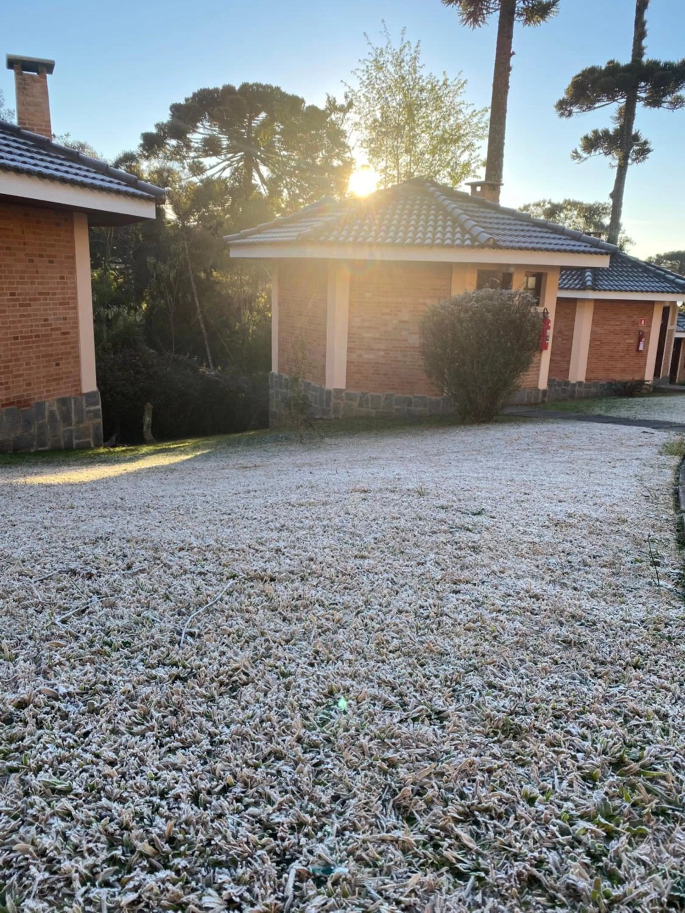 Garden, Property Building in Chalés 3 Pinheiros