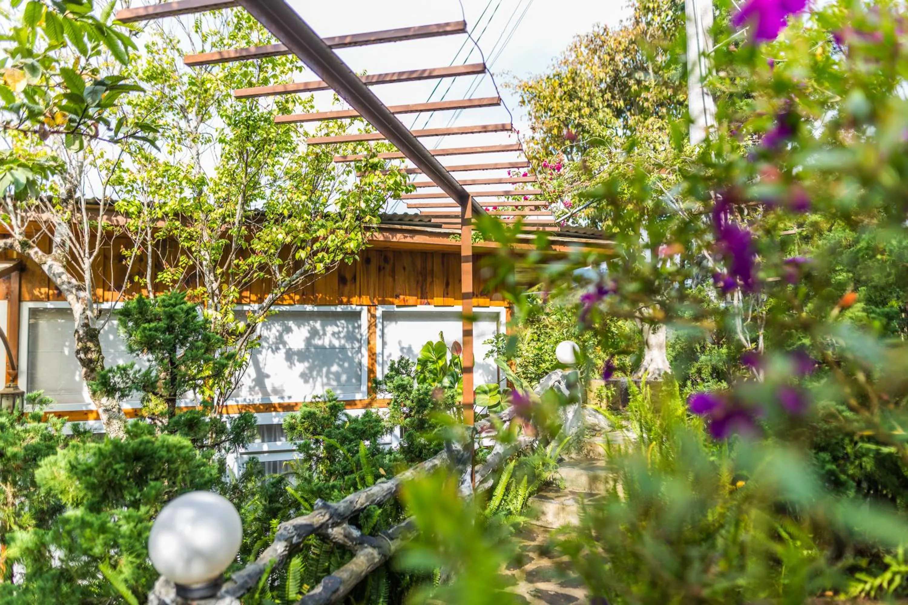 Natural landscape in Zen Valley Dalat