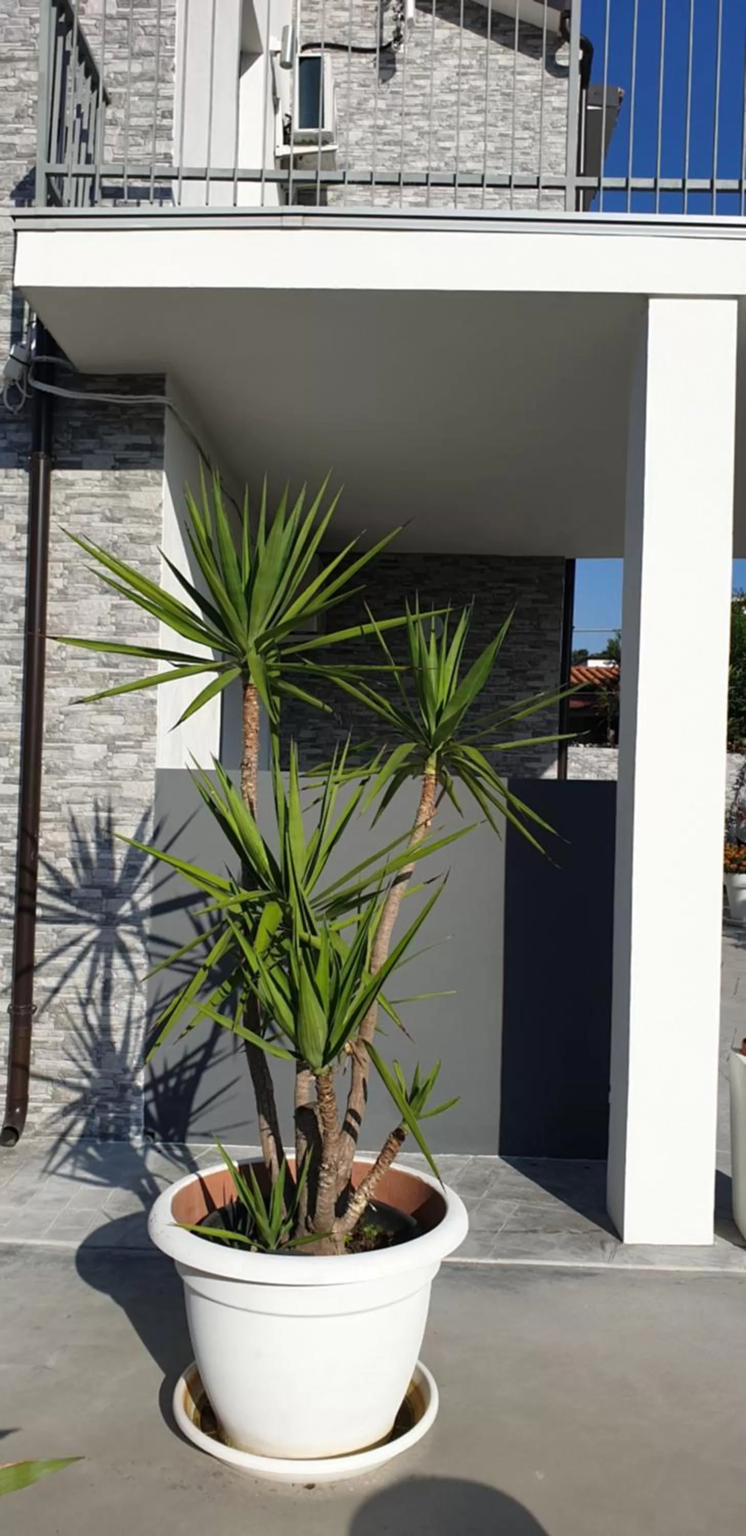 Facade/entrance in UN PASSO DAL MARE bed&breakfast San Salvo Marina