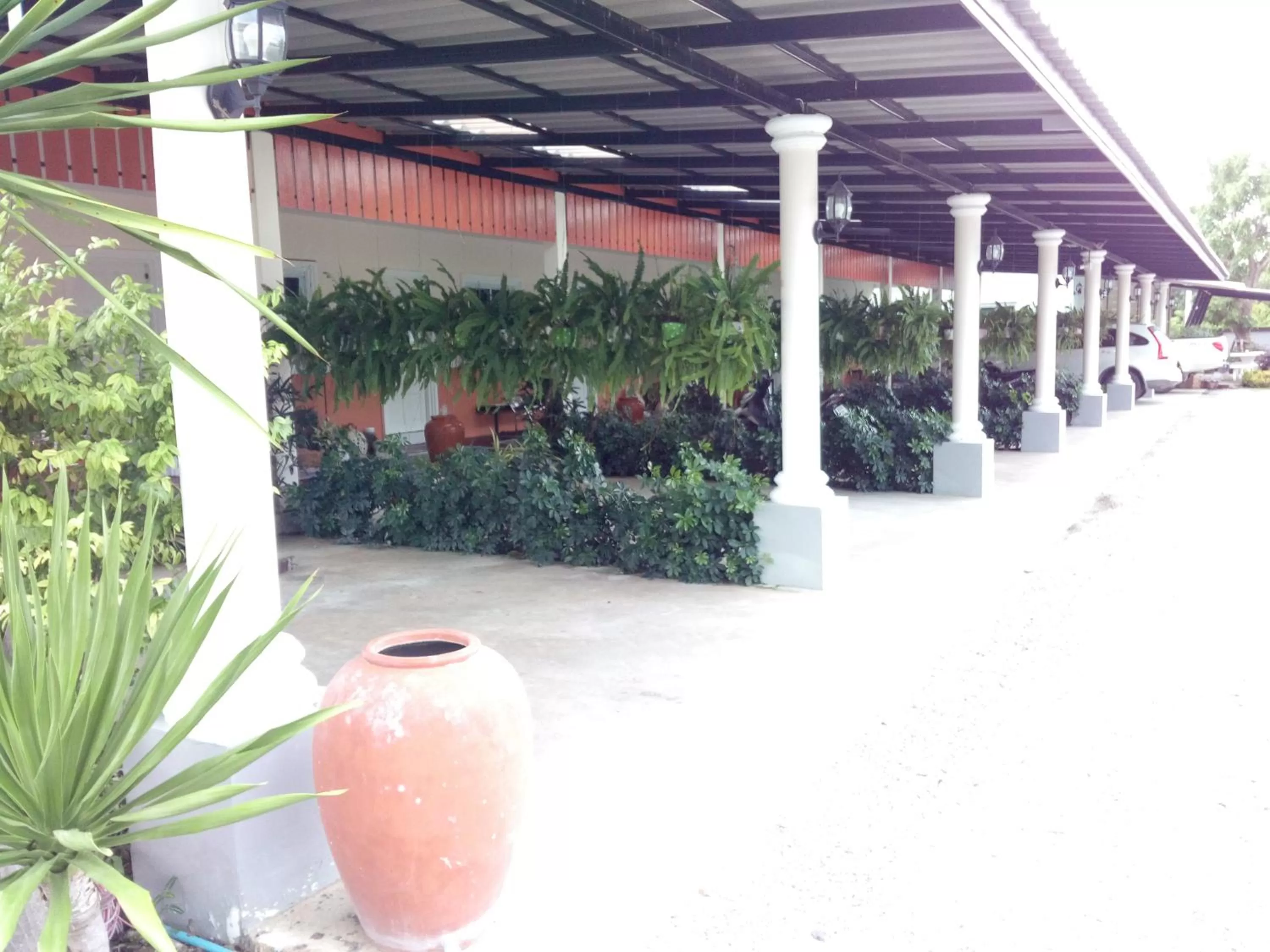 On site in Fancy Carp Resort