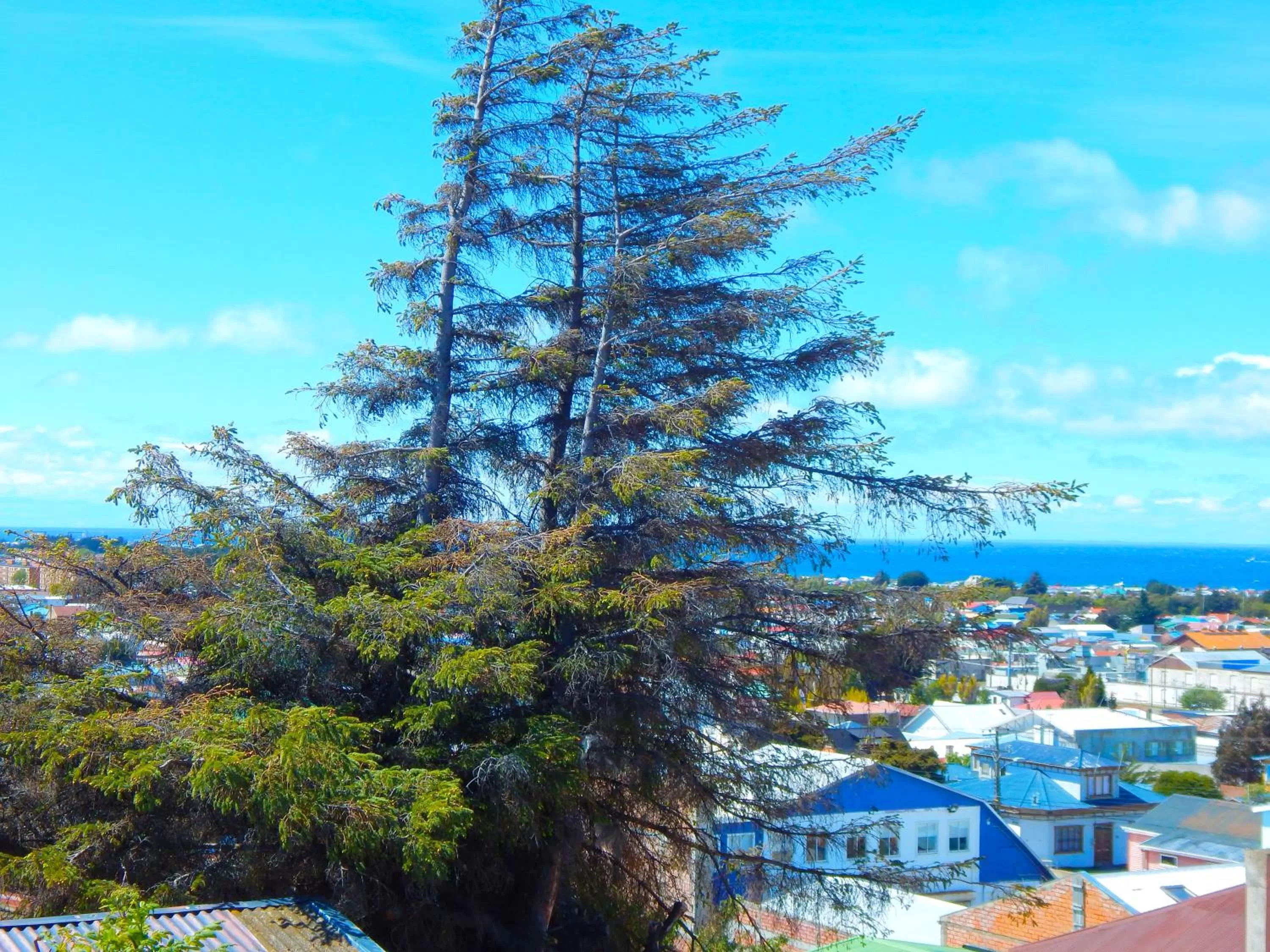View (from property/room) in Hostal Buenavista Patagonia