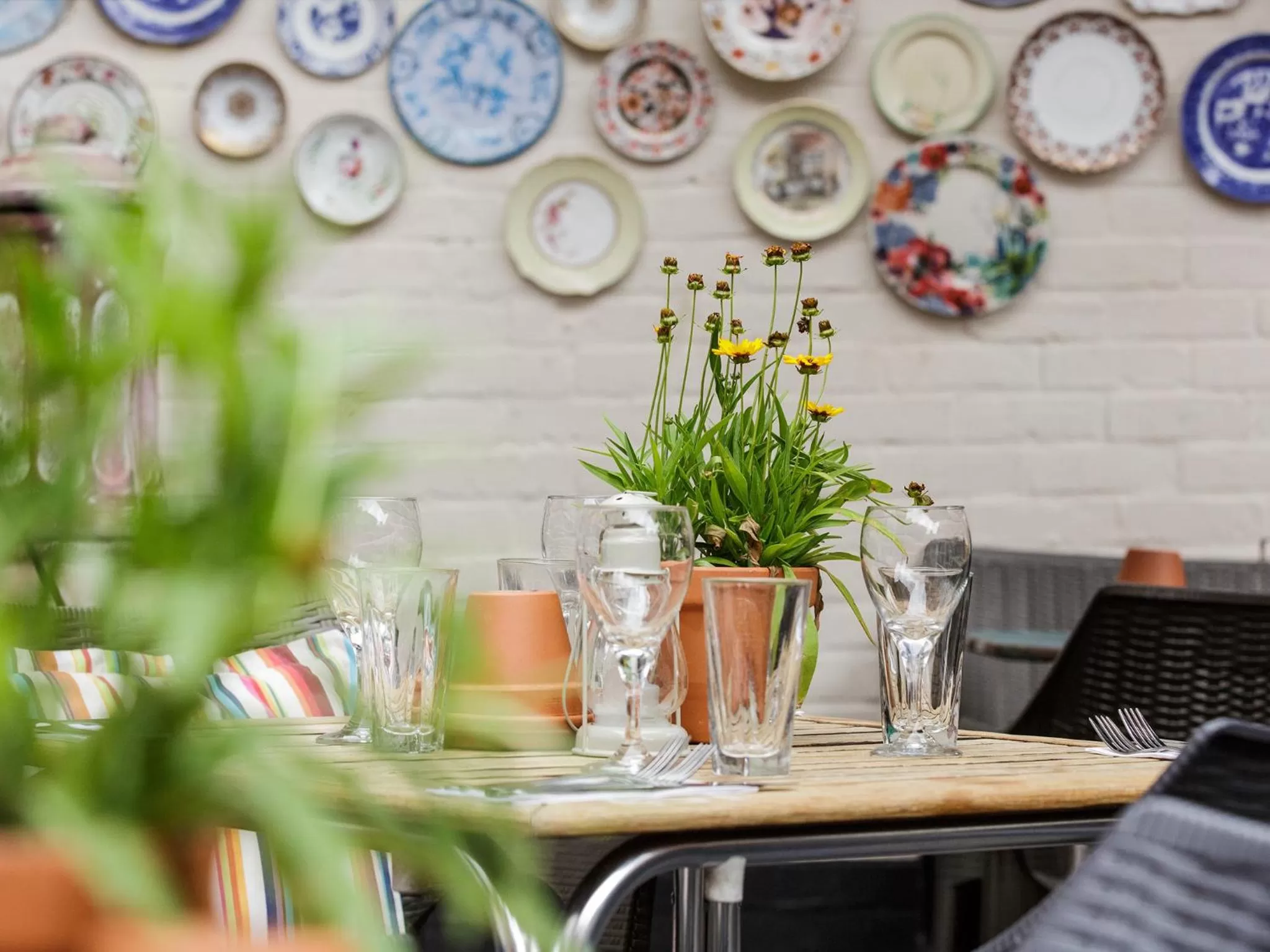 Garden in The Richard Onslow